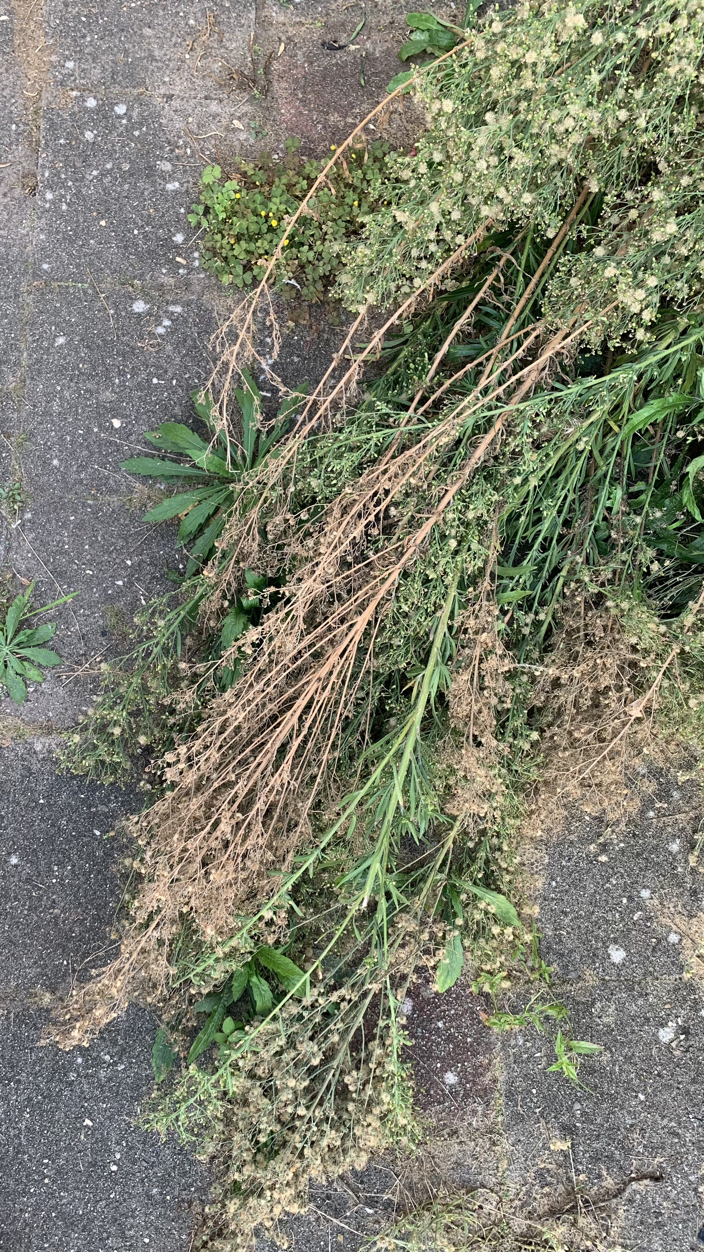 P6. 28 September 2025