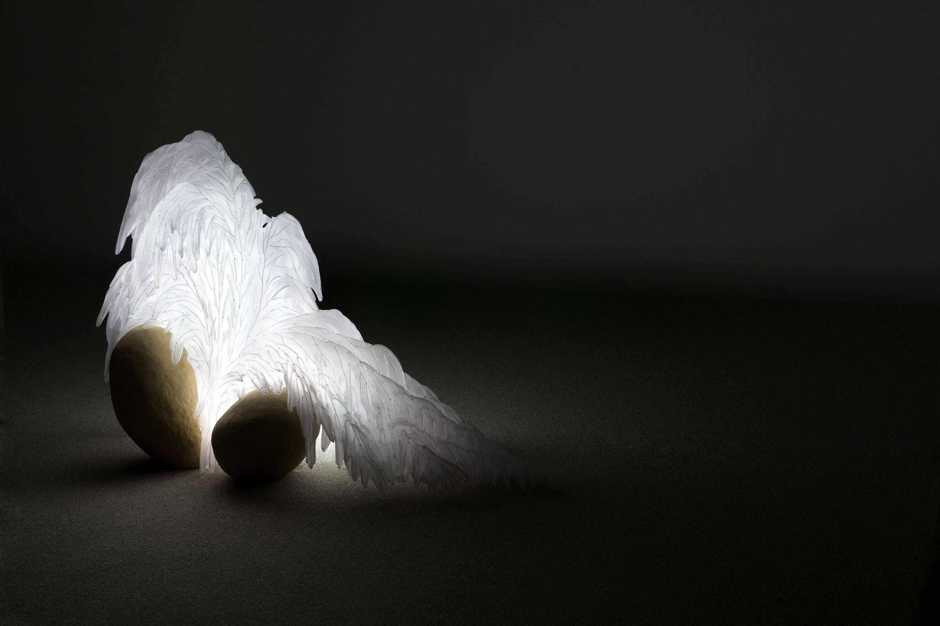 Memory, March 2007 / 56x84x44cm, 22x23x18"