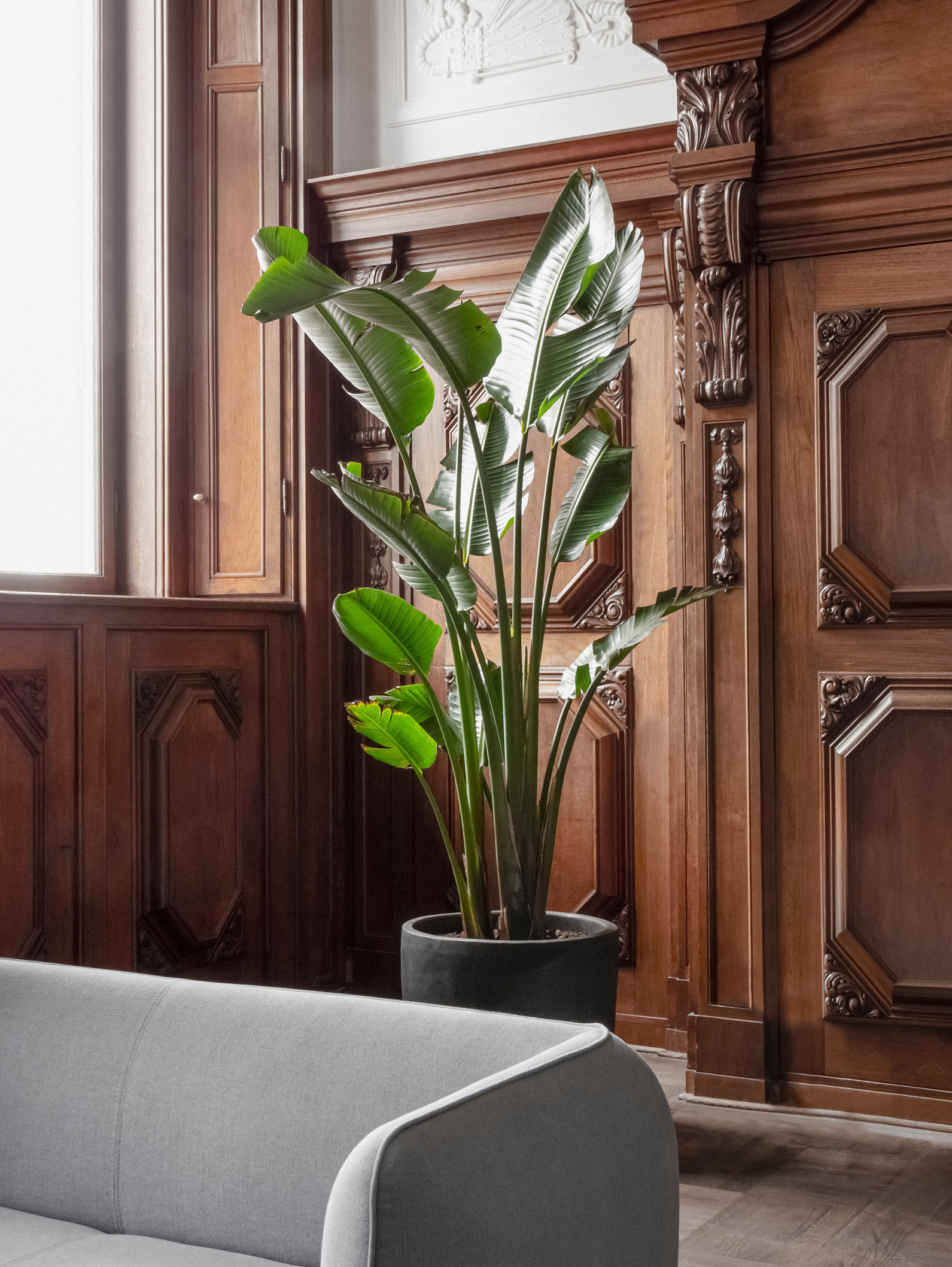 Matrikel1. Transformation of historic buildings to co-work space, cafe and bar. Copenhagen. 2017-19