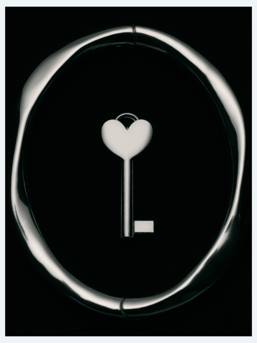 Massimo Dutti Valentine's / View series