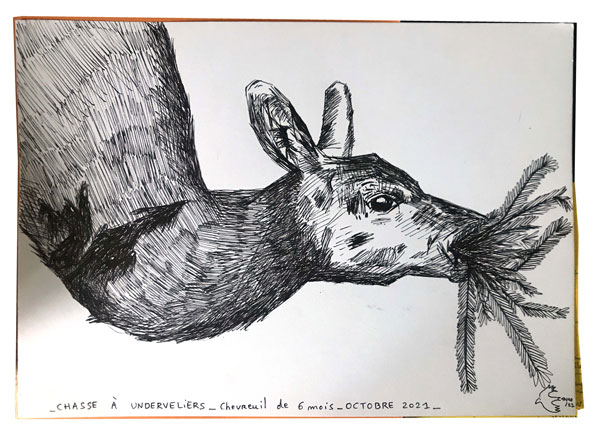 Chasse à Undervelier