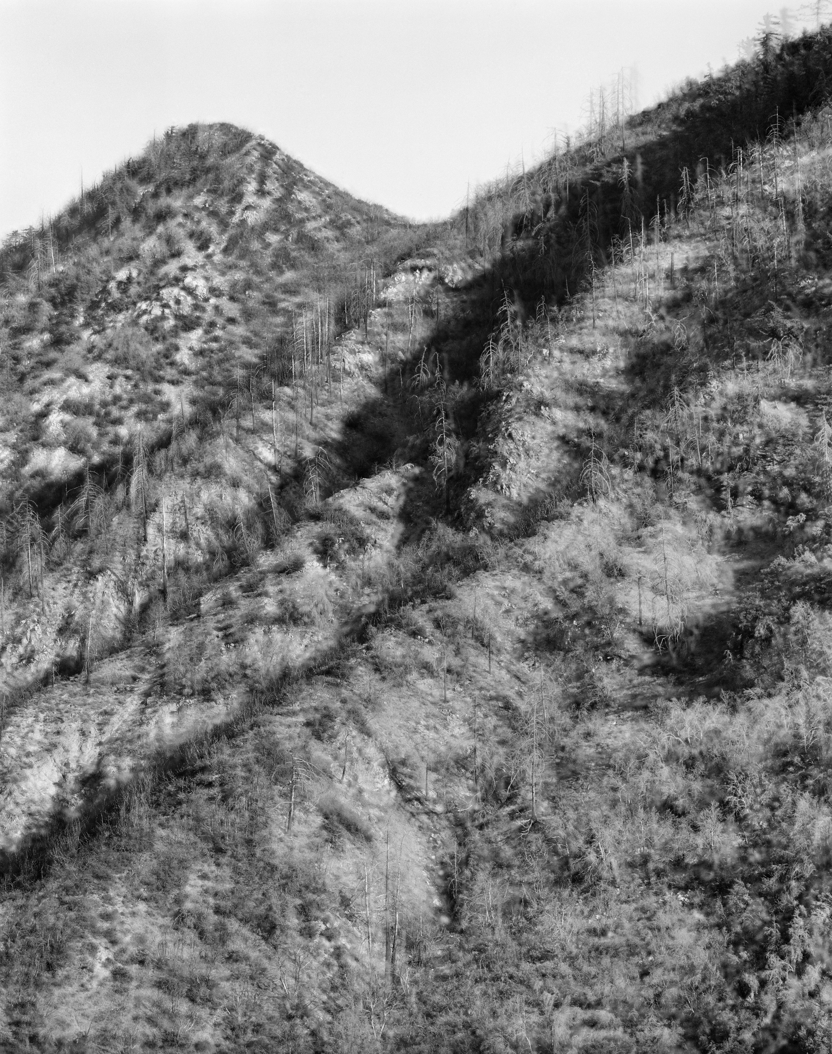 Hell Mirage #1, 2014