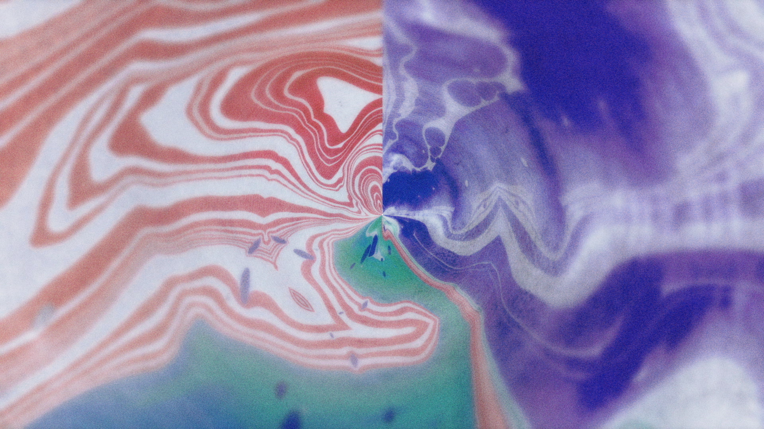 Cicada - ‘Rolling Waves’