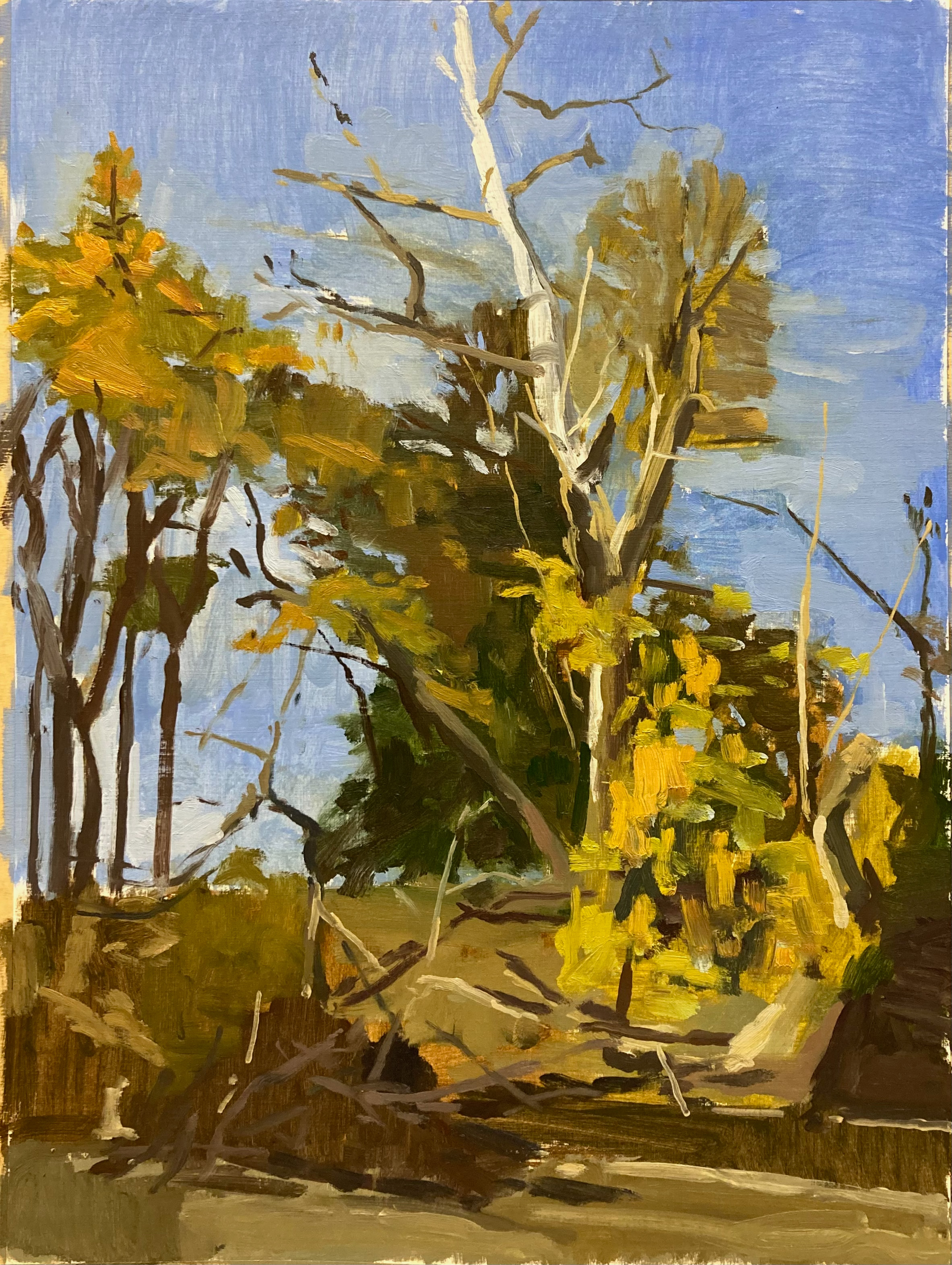 18"x24"