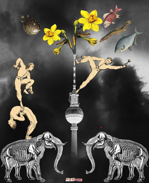 Maria Anna Ciemerych