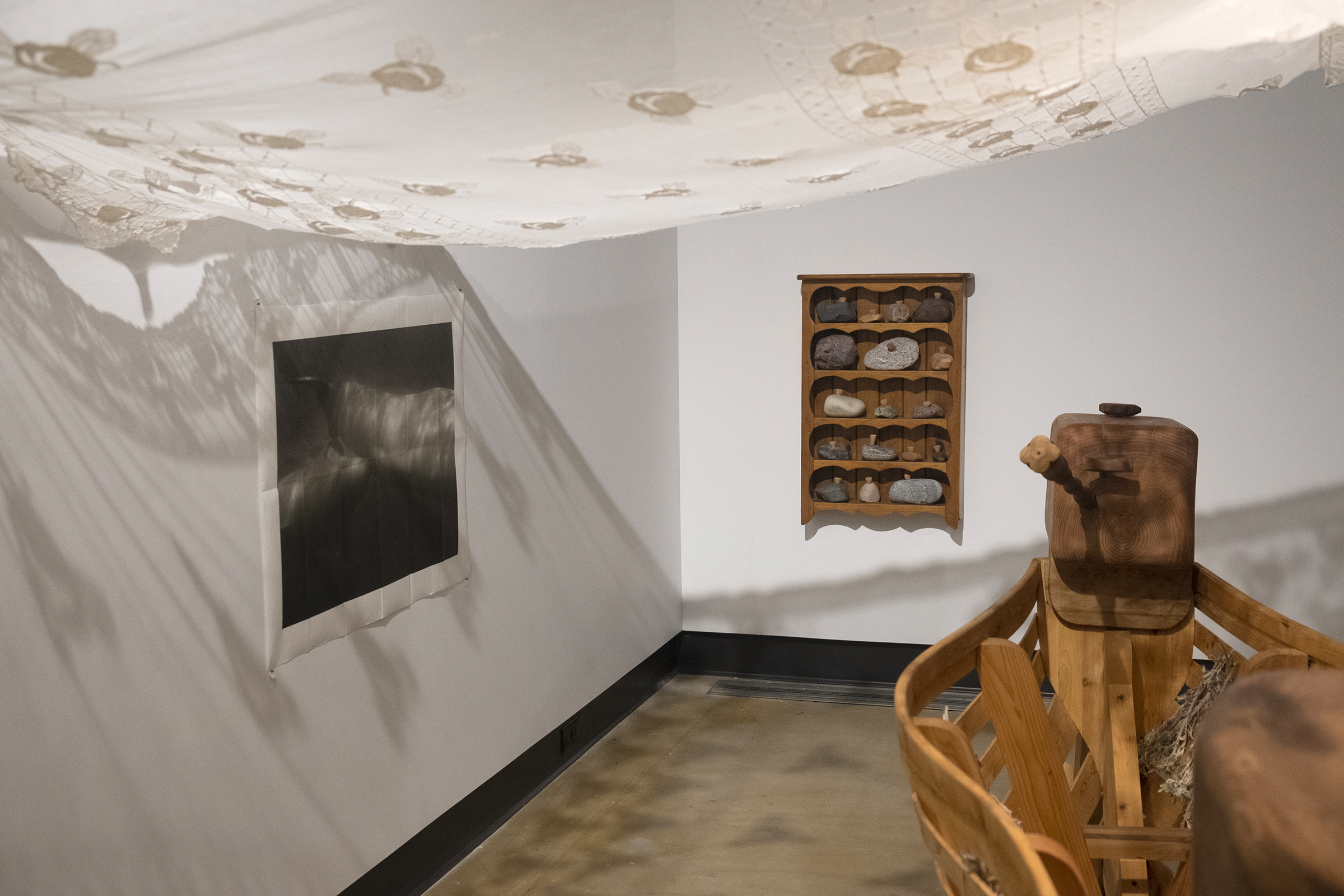 Dans l'œil du béluga, Galerie d’art Louise-et-Reuben-Cohen de l'Université de Moncton, 2025