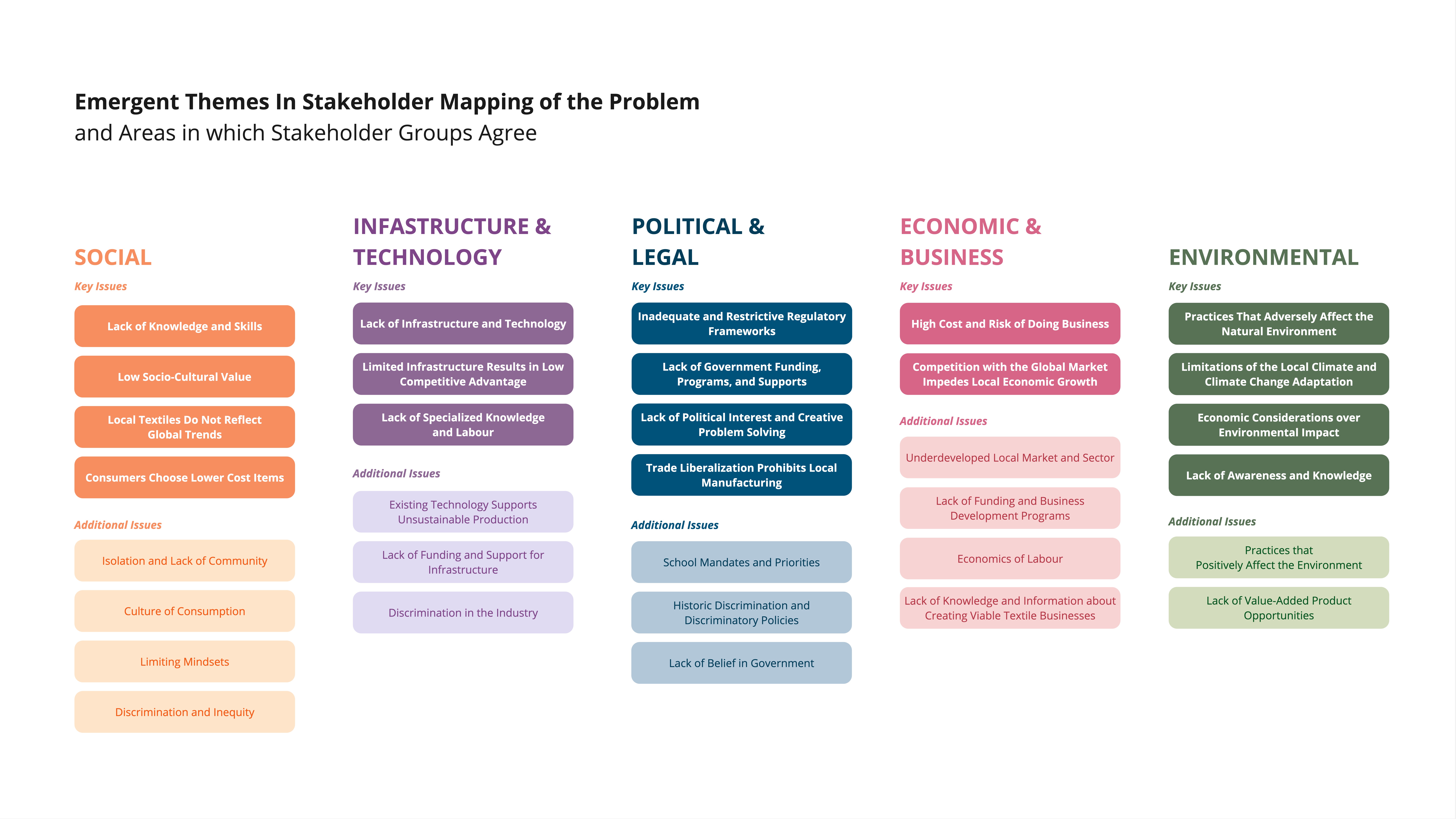 Identifying emergent themes and key issues