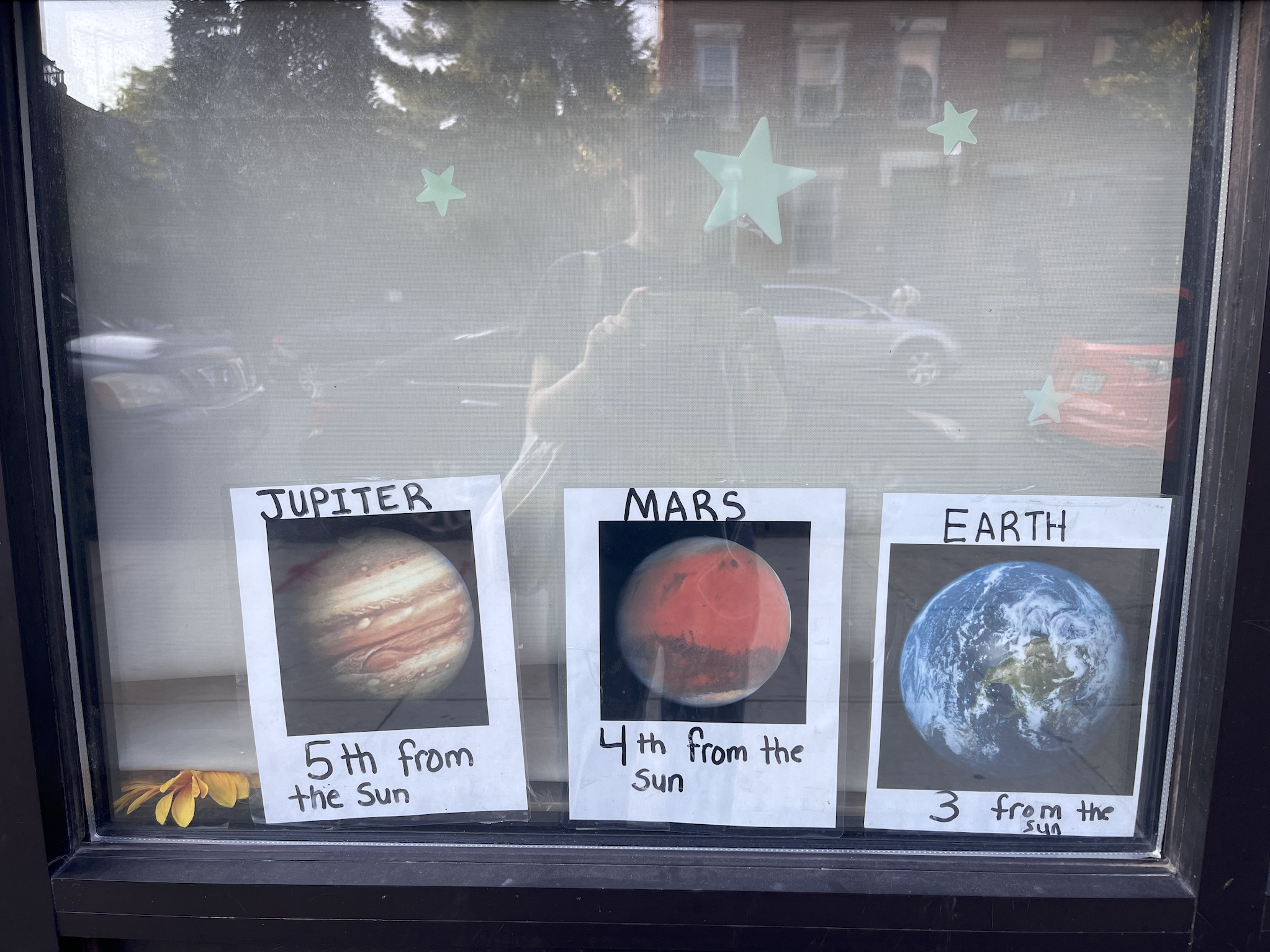 Sara Nicholson / Malcolm de Chazal