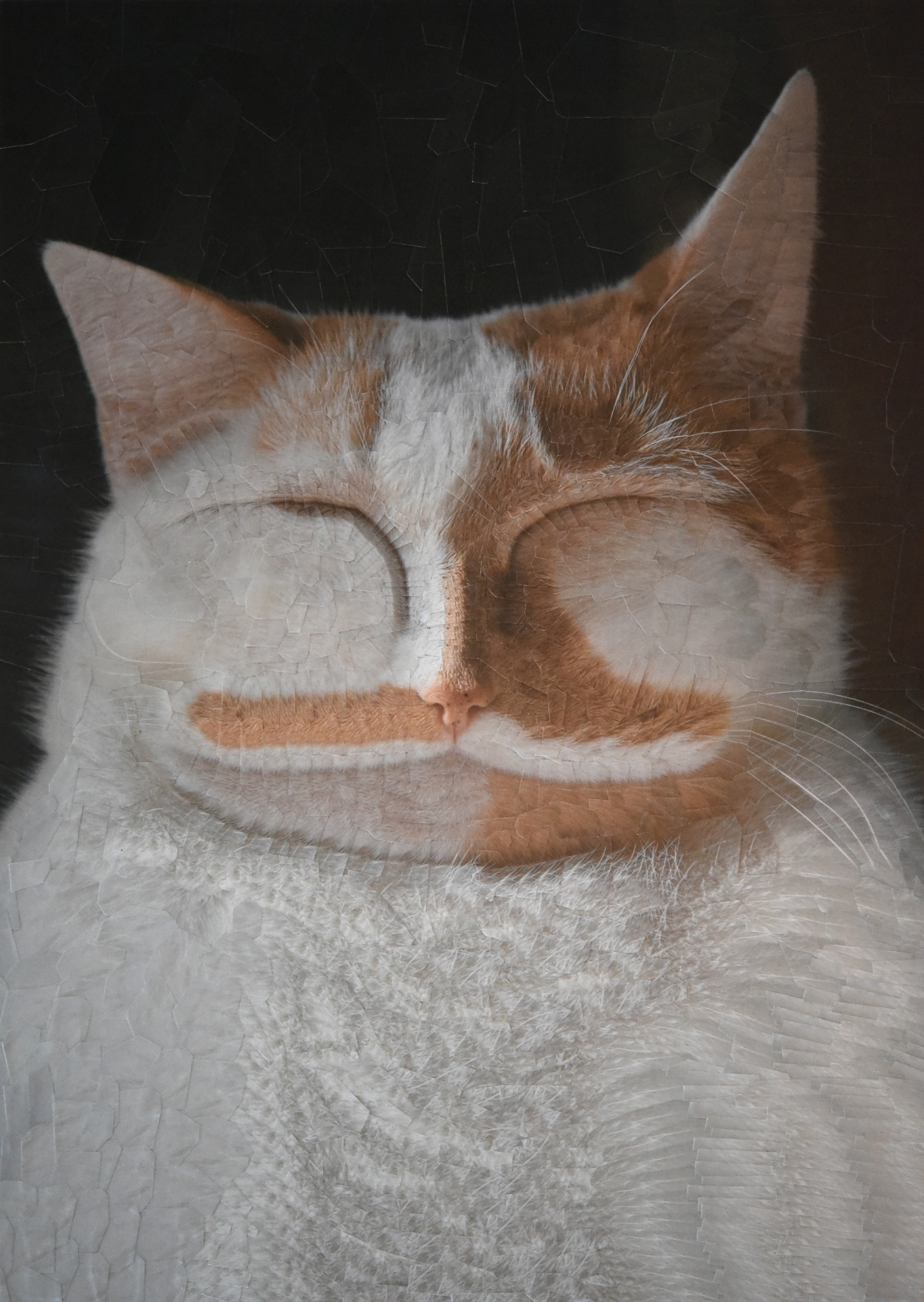 Charlie softly,  2019, 8.2 x 11.6 inches