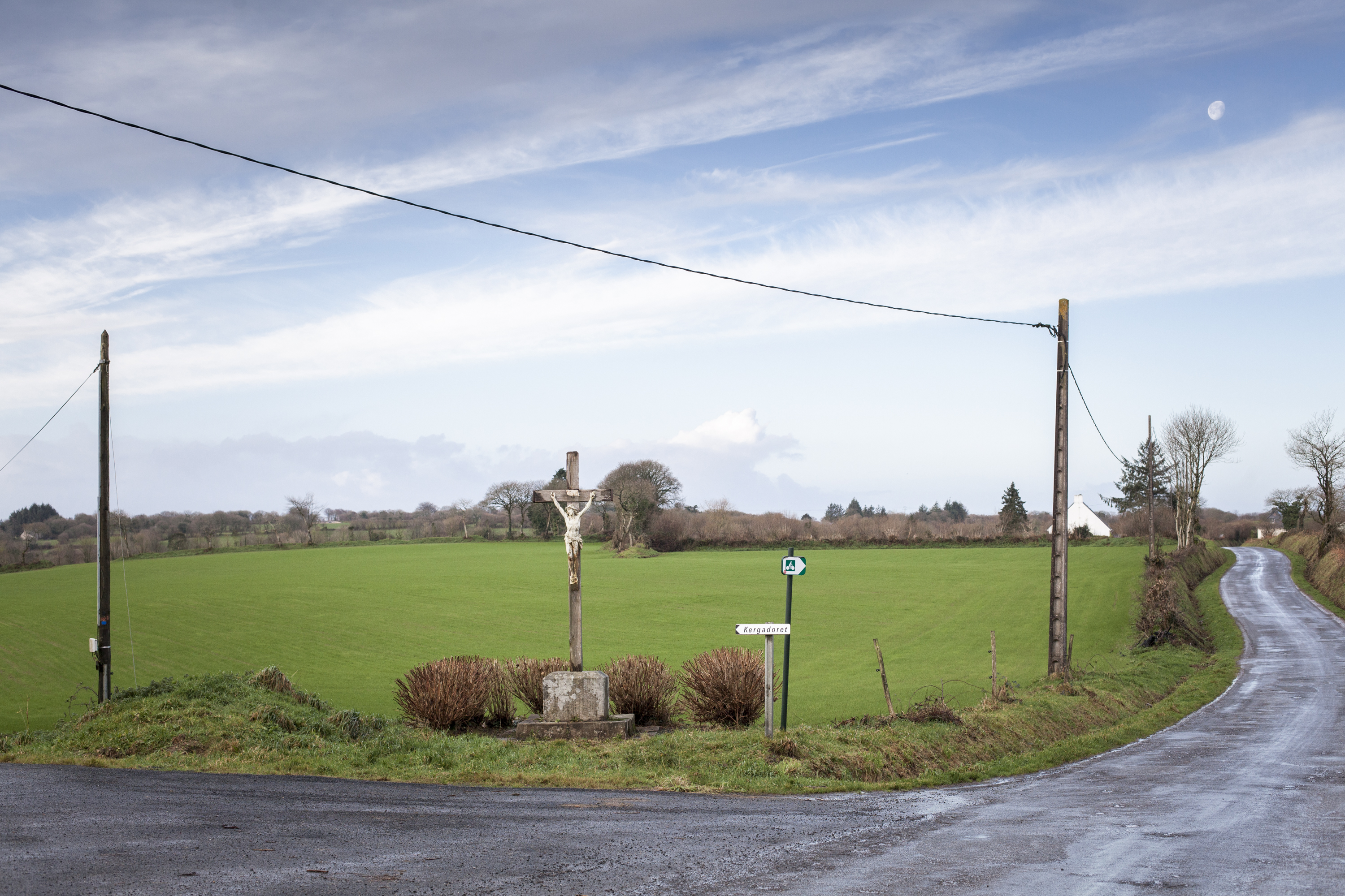 julien cregut-Lost Dogs-©juliencregut