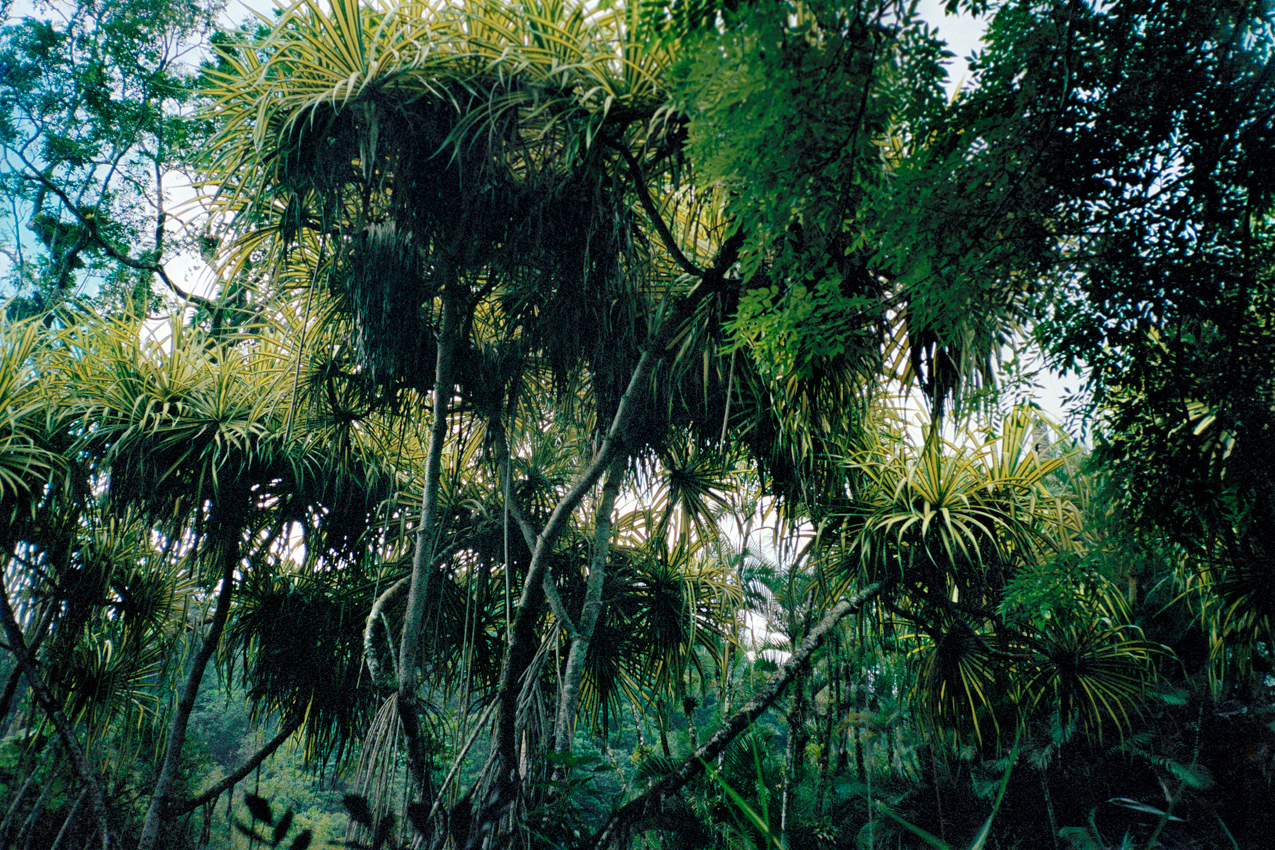 RESEARCH AND PERCEPTIONS