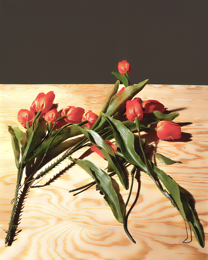 Plastic Tulips on Plywood, 1993