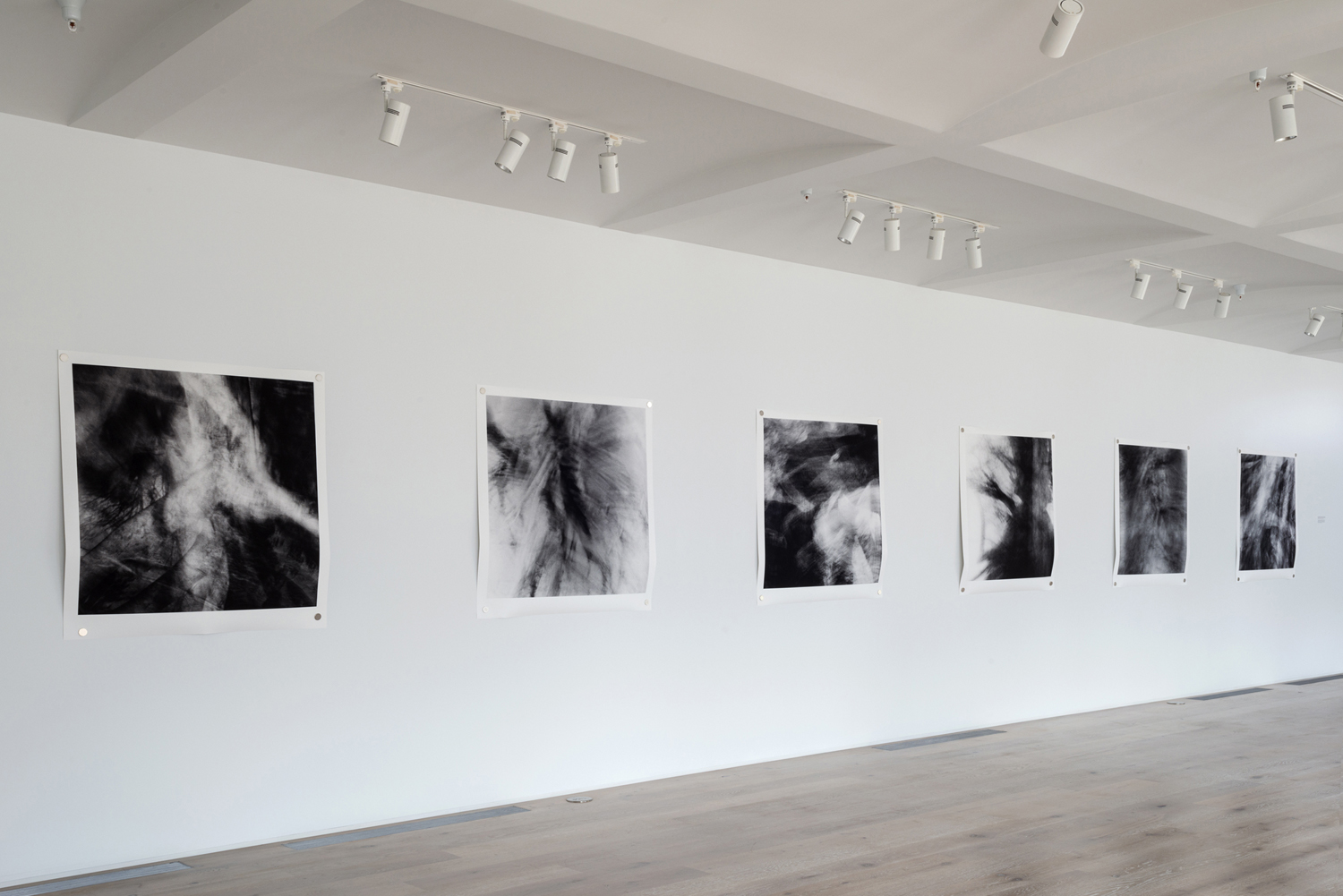 At the Hands of Persons Unknown | Pictura Gallery, Bloomington, IN, USA | 2019