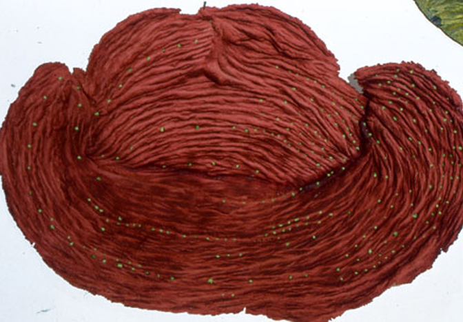 The installation view of the work.