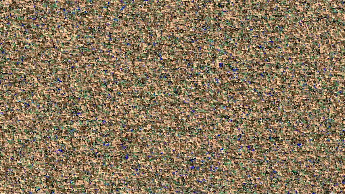 첫 만남의 D, 2024, 단채널 영상, 컬러, 무음, 12분 49초