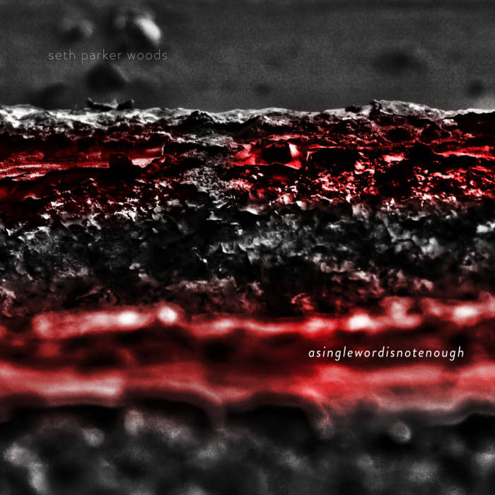 Seth Parker Woods - asinglewordisnotenough