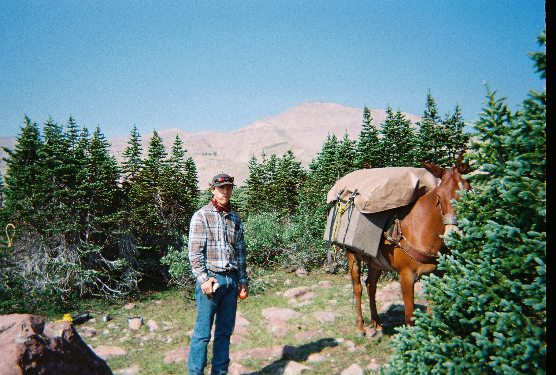 I grew up in Utah packing mules