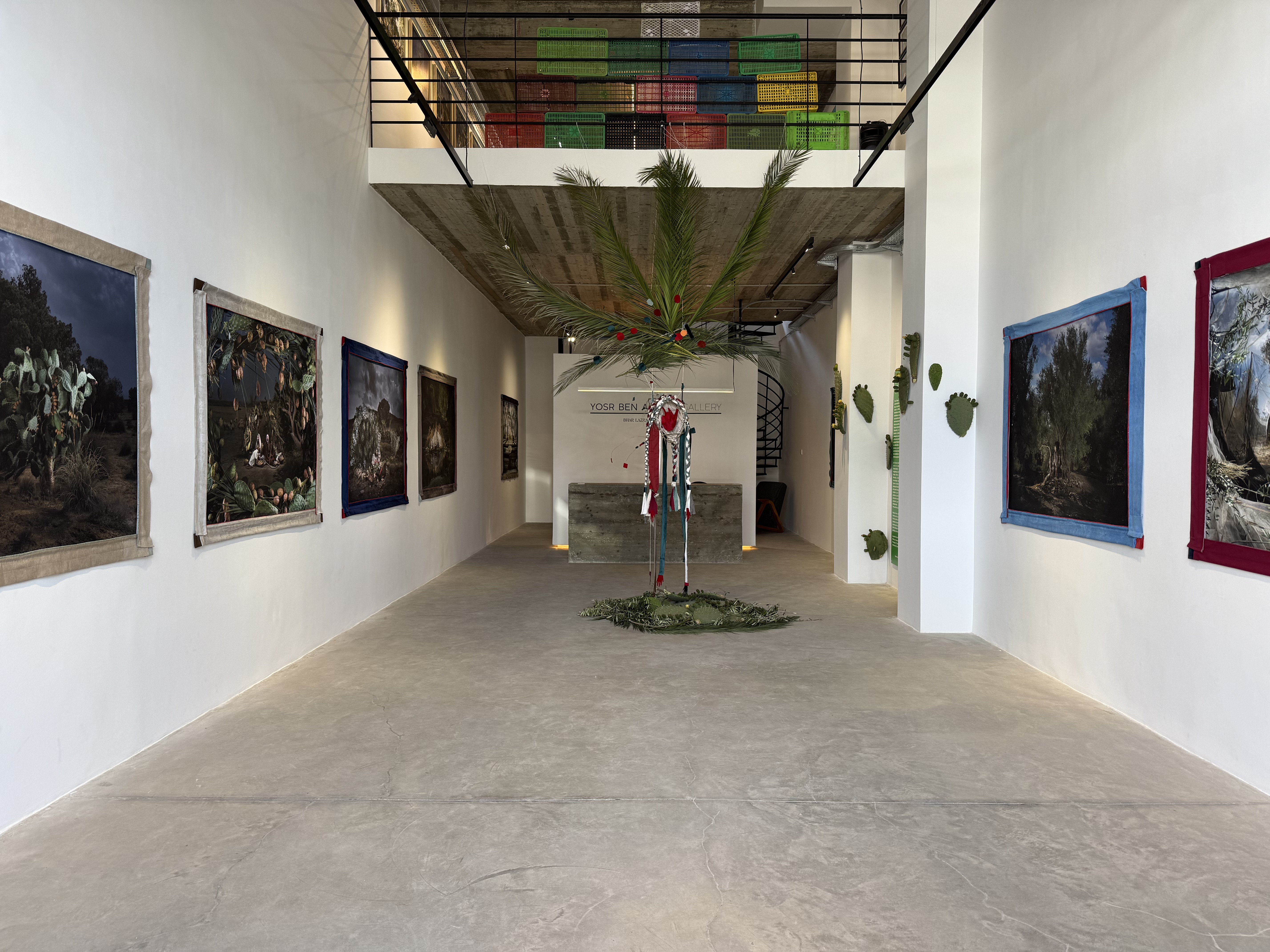 Arbres de Vie | NICOLAS HENRY | 2025