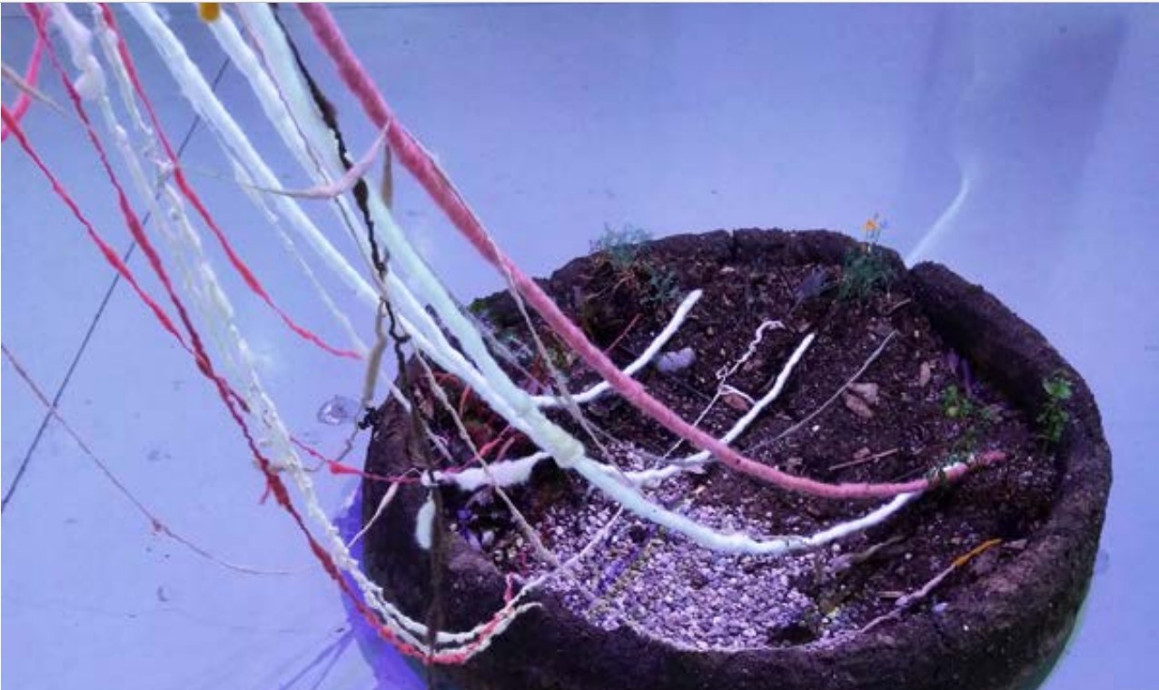 Post-Survival Mythology