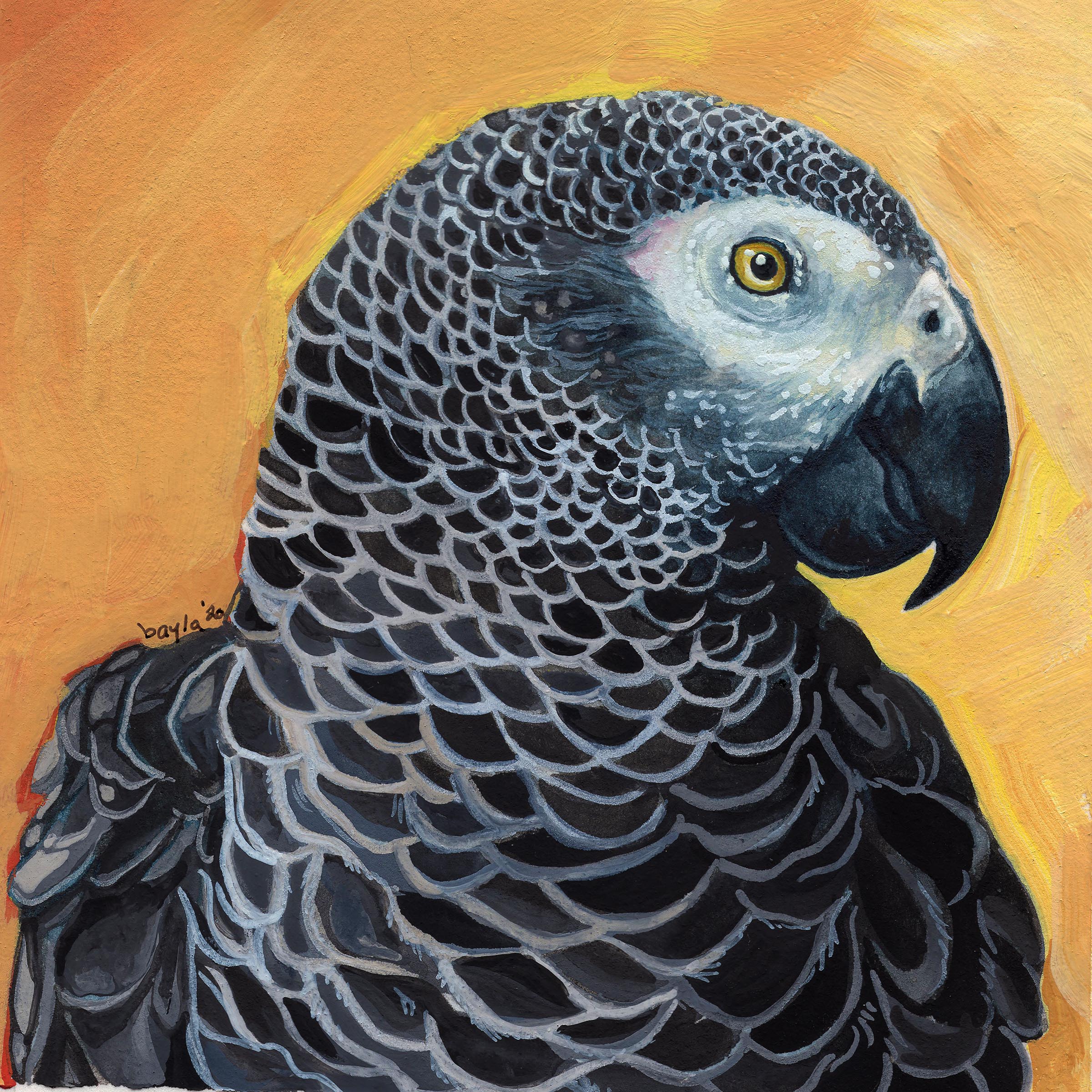 African Grey ParrotWatercolor3"x3"2020SOLD
