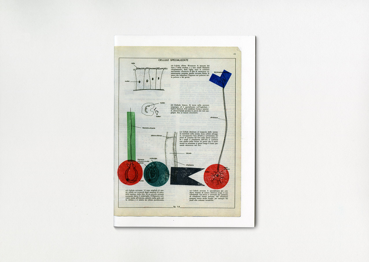 BIOLOGIA GRAFICA EXTRAIT — 2019