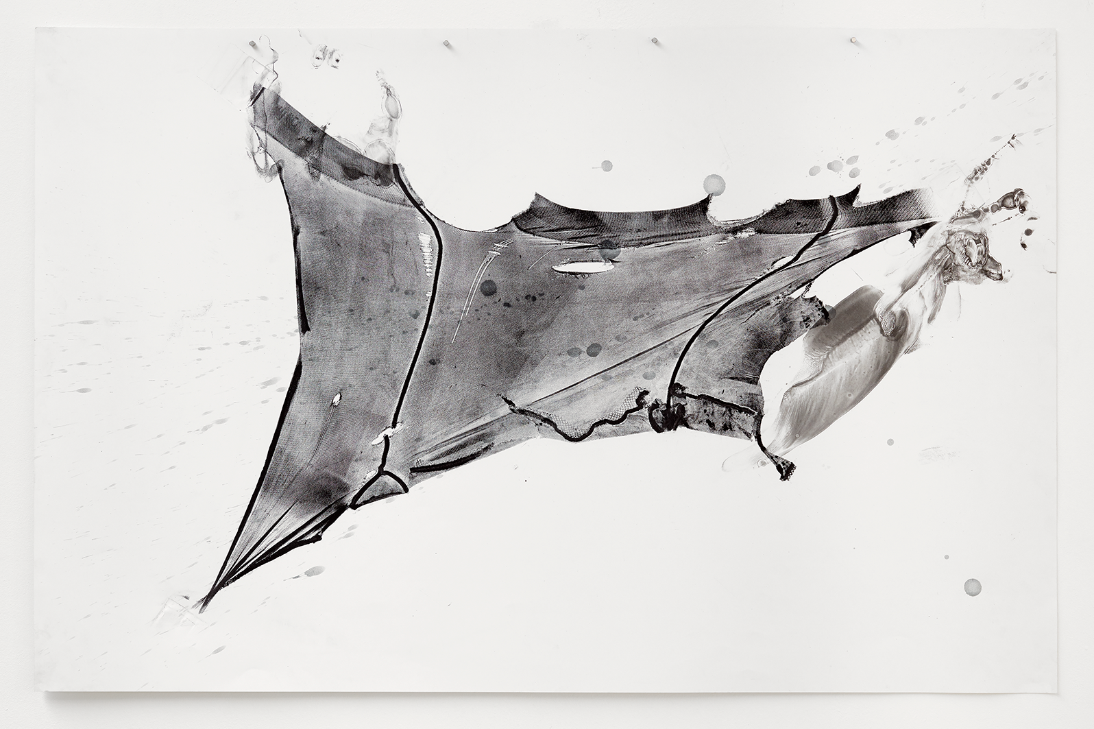 Expanded IV ; 2015 ; 102 x 66 cm ; 40¼ x 16 inches ; relief ink, offset lithography, acrylic ink on paper