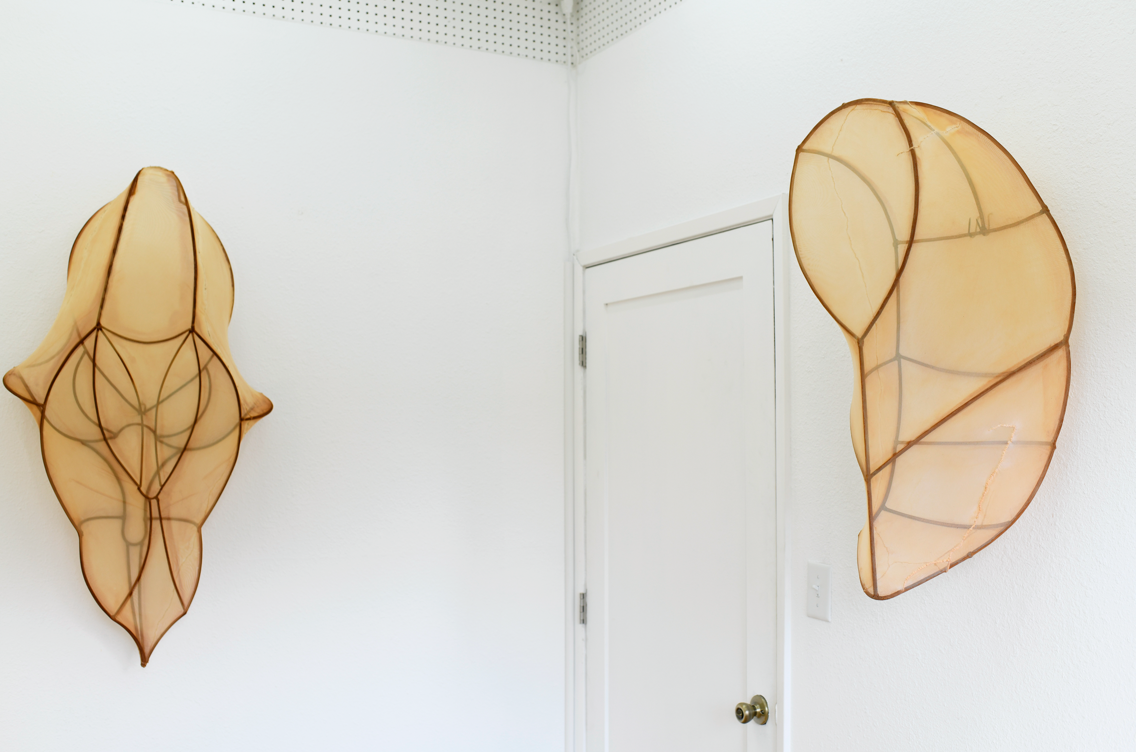 Spore Space / Rosemary Hall