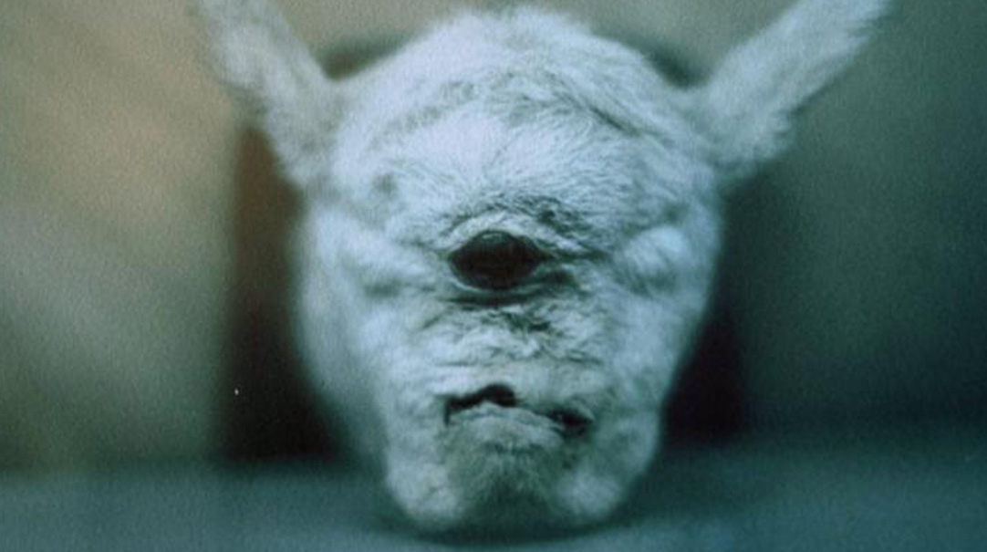 Modern Archaeology | documentary