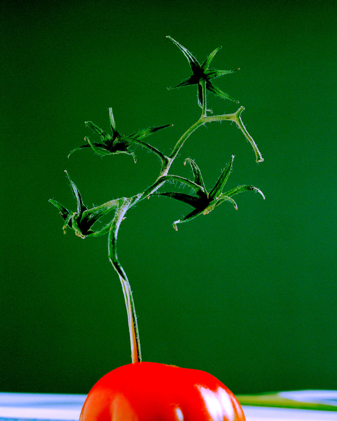 UNPUBLISHED, EN VOLS, 2023