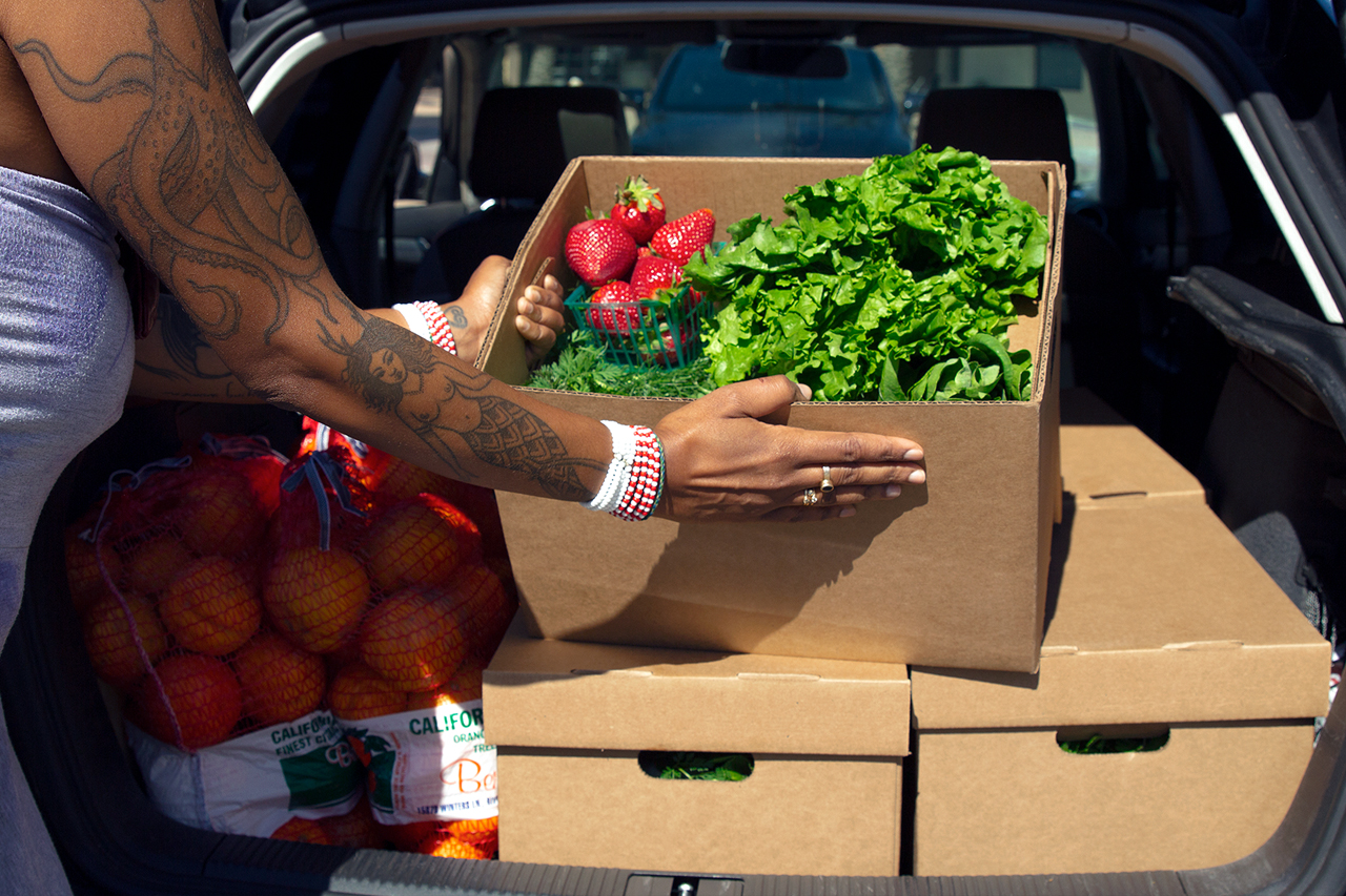 Black Farm Studio House Co. partnered with Goodveg to expand food access to birthing families and community members.  	
