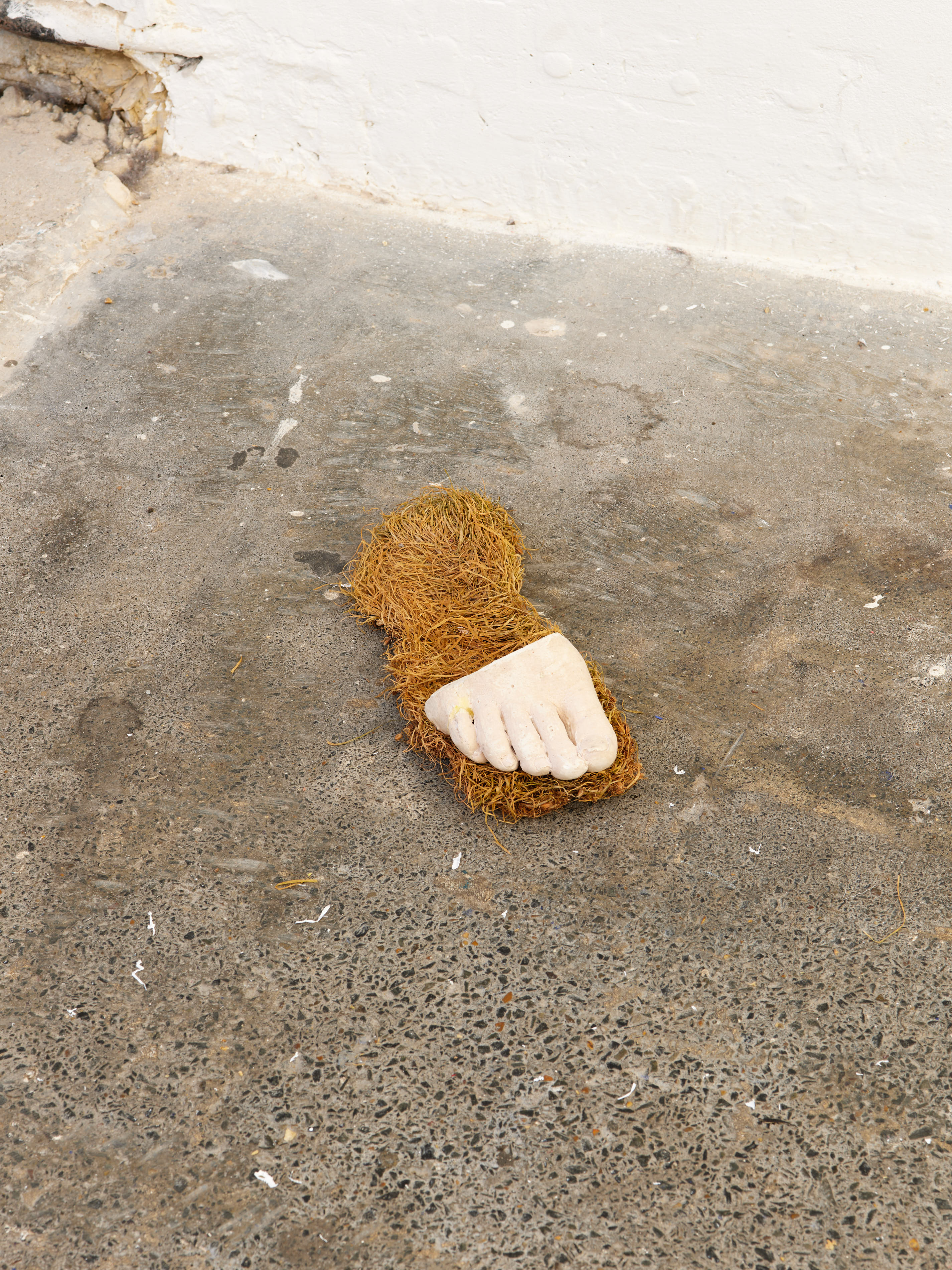 The Knight Errant. Jasmine Pajdak [photo credit:M8R8S Studio]