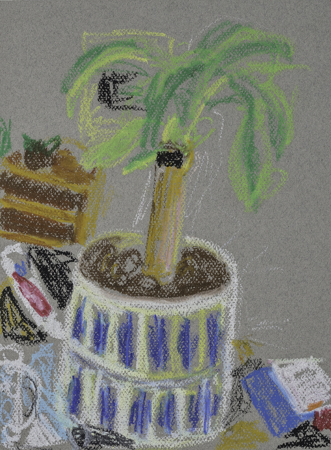 Plant in Silvio's House   (2021)  Interiorism & Exteriorism  9 x 12 in  Oil Bar on Cotton Paper