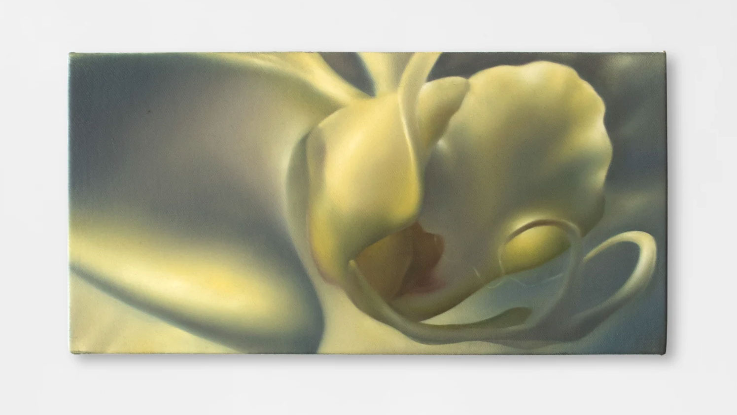 Destierra II (2024), oil on canvas, 6x12"