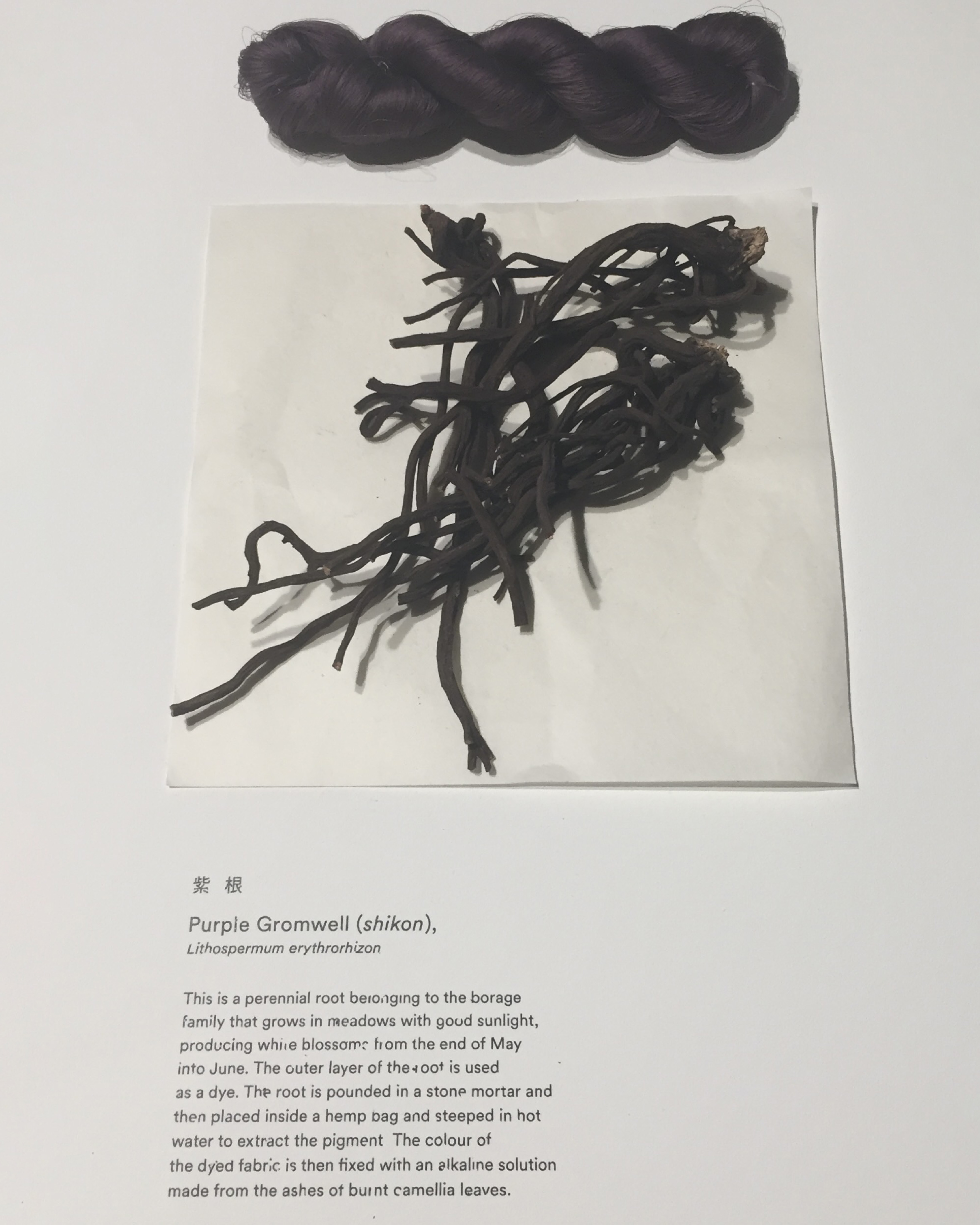 A silk sample dyed with Murasaki roots in the Living Colours exhibition at Japan House in 2019. The exhibition explored the artistry and history of the Yoshioka Dyeing Workshop in Kyoto, 6 generations of natural dyers.