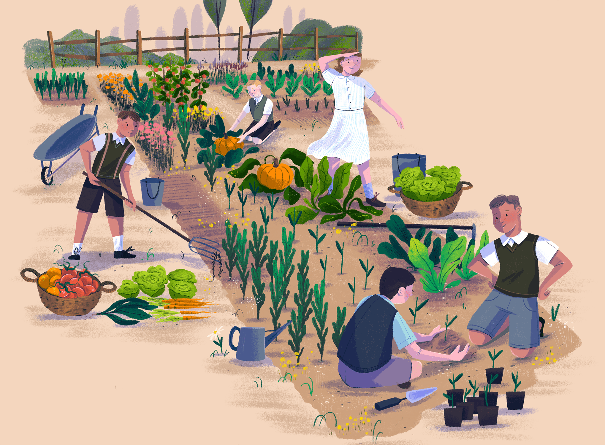 Children planting vegetables in a field.