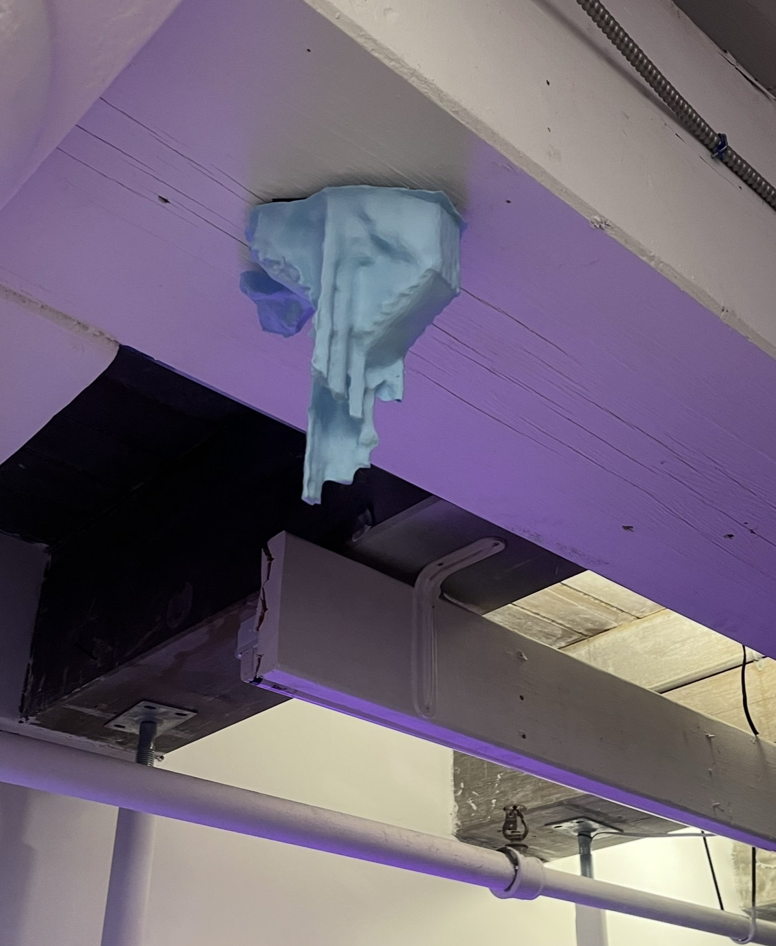 Remnants of New Alliance