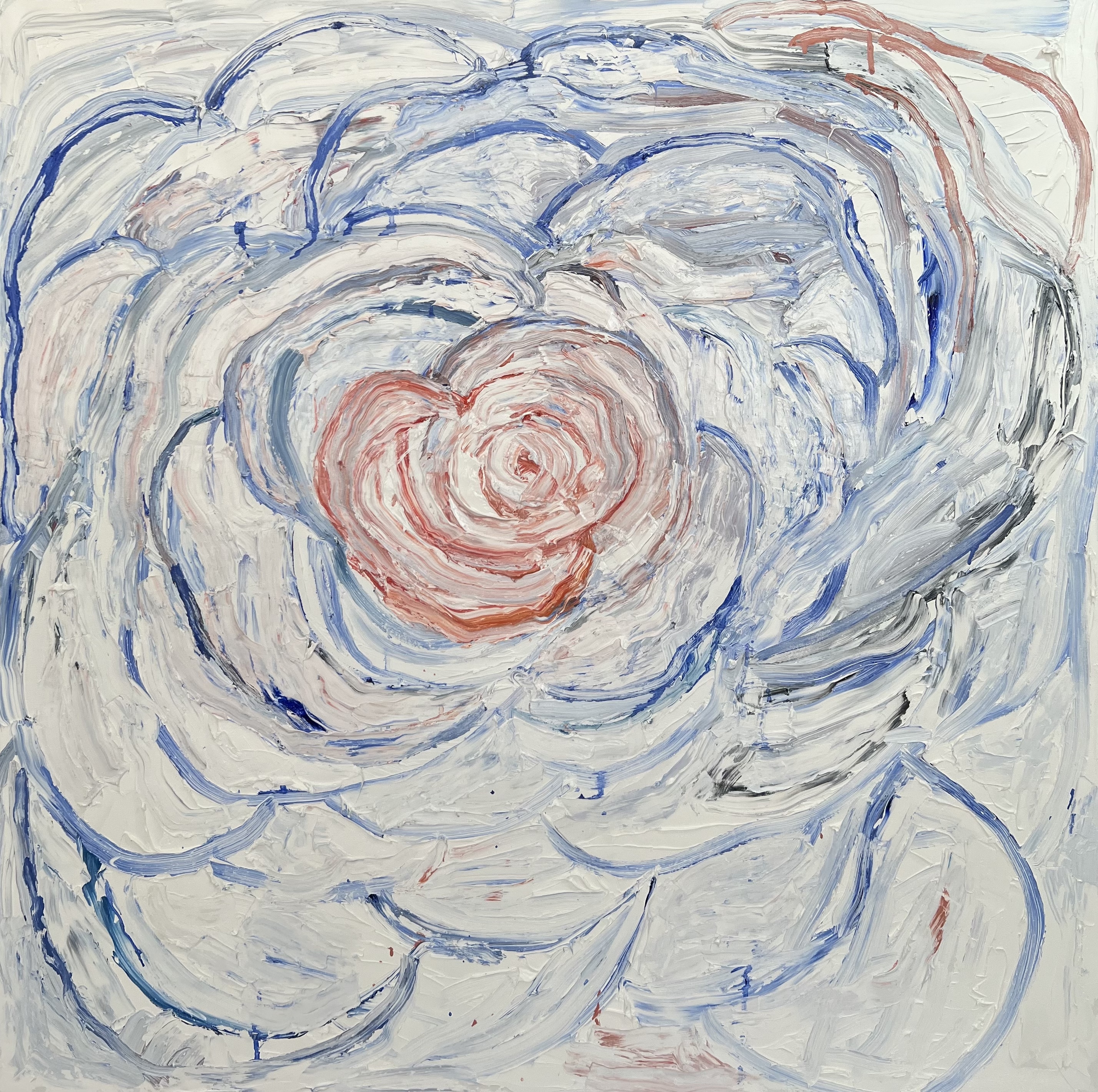 punk camellia, red center, 2022, oil on canvas, 48"x48" in