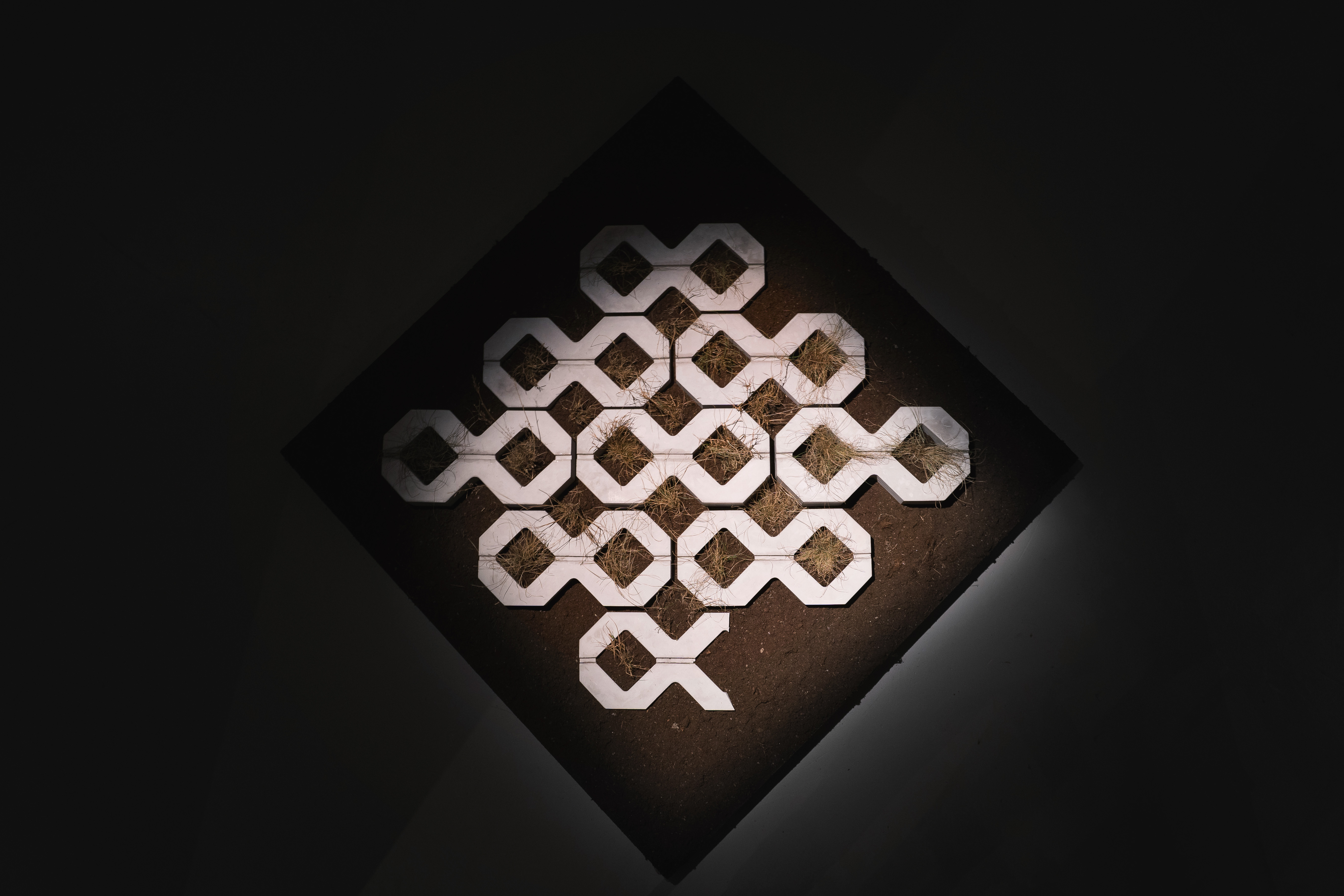 Photo: Malin Magnolia Karlsson