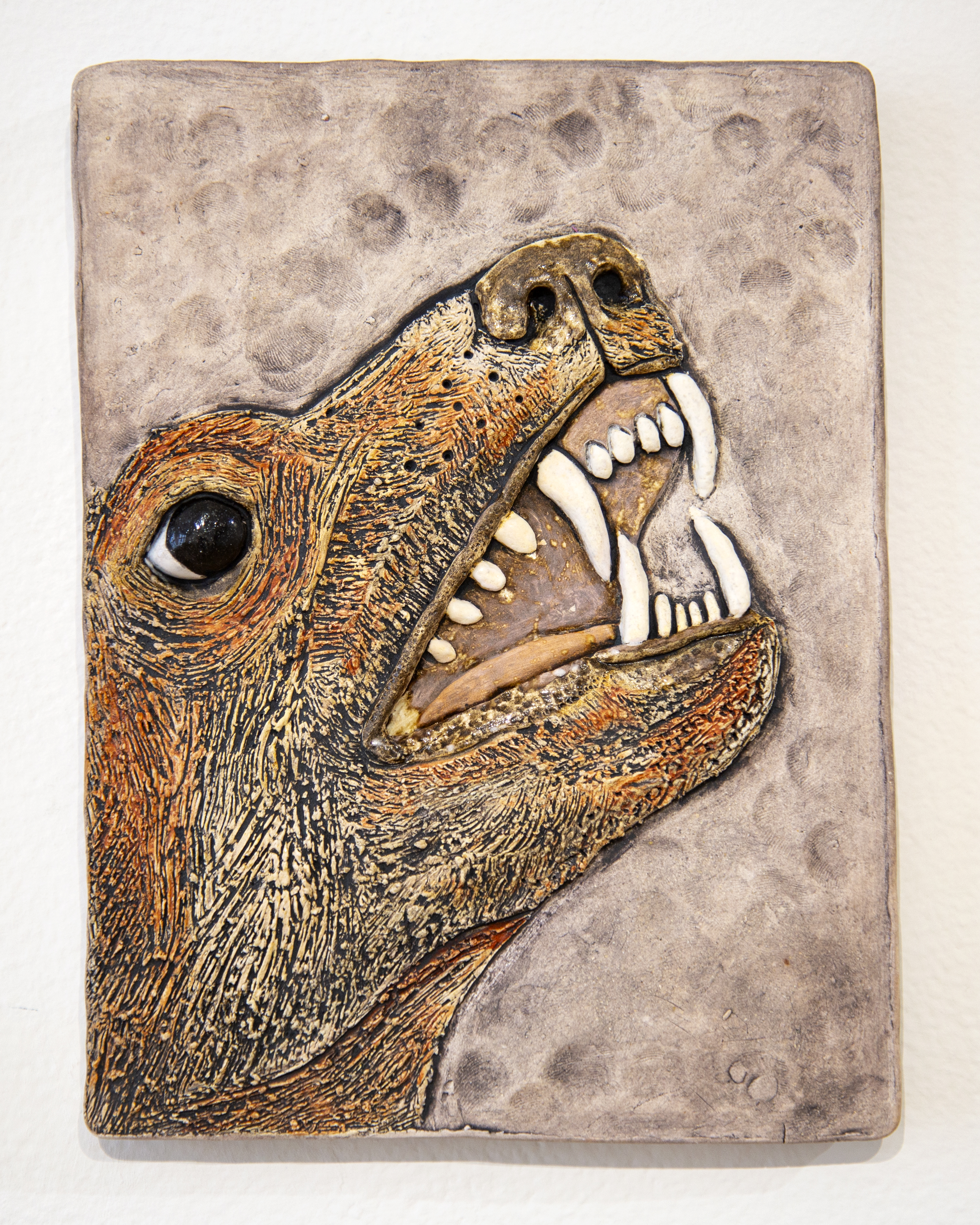 aggression - showing teeth can be a sign of defense or readiness to fight