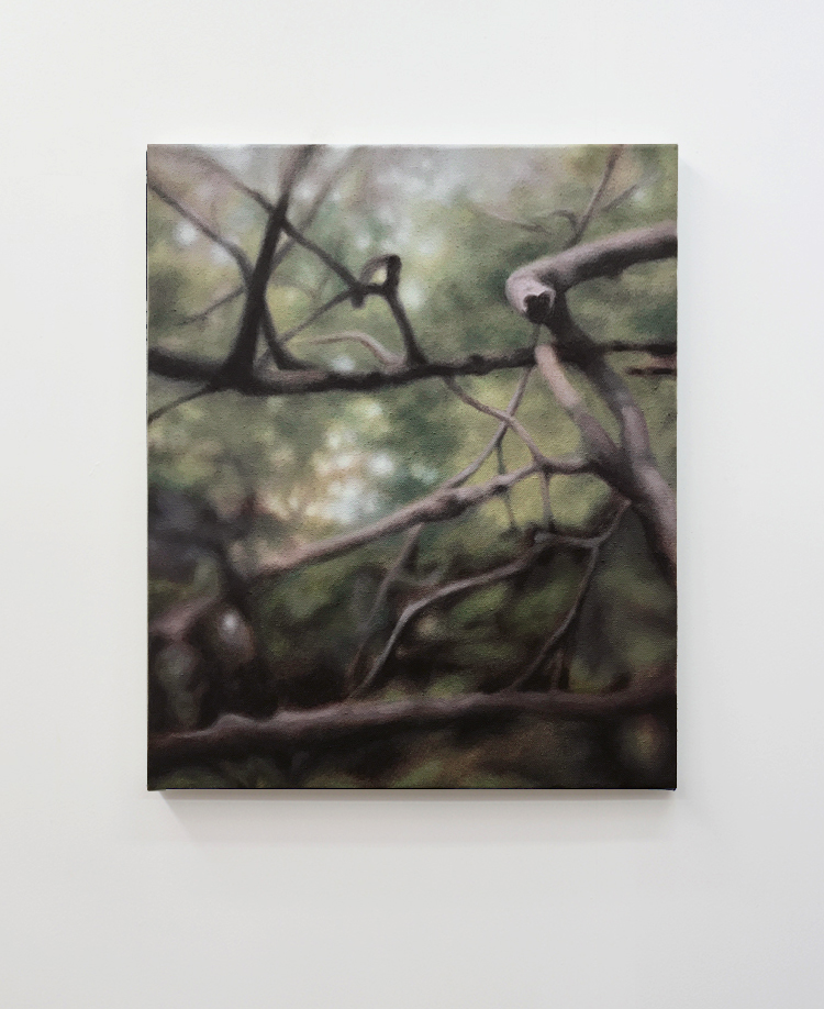 Untitled (Äste), 2020, oil on canvas, 40.0 x 33.0 cm