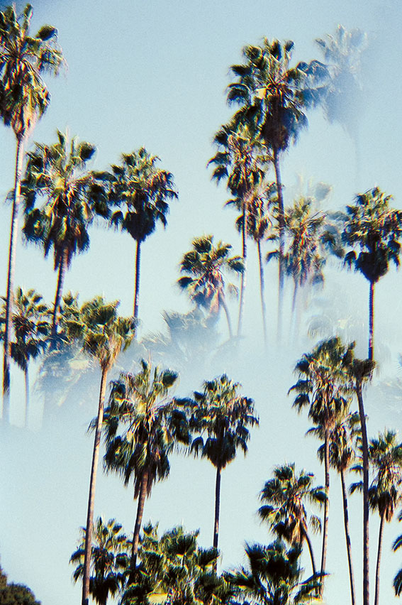 Los Angeles, USA (tirage disponible)