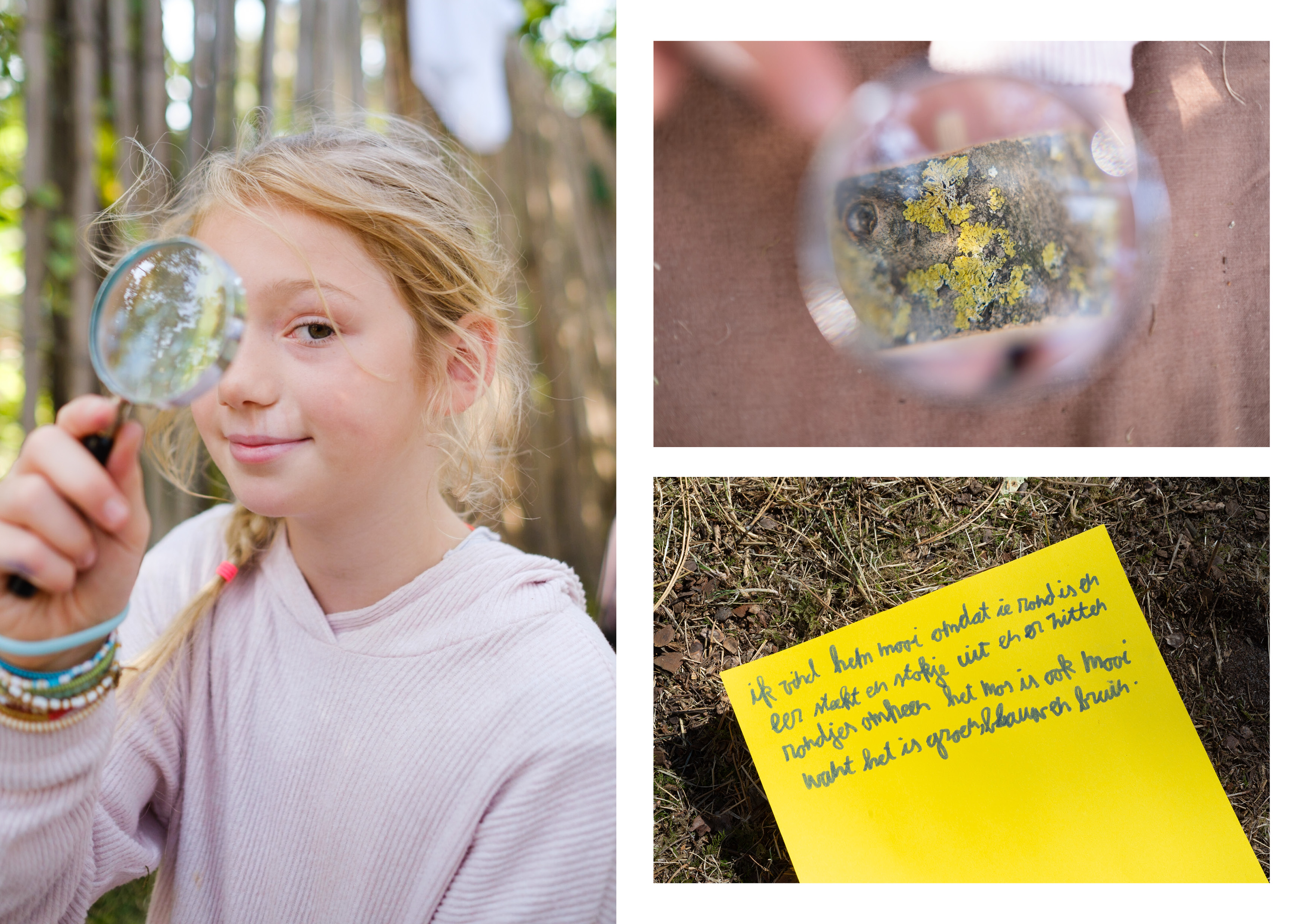 Fien: "Ik vind hem mooi omdat ie rond is en er steekt een stokje uit en er zitten rondjes omheen. Het mos is ook mooi want het is groen, blauw en bruin."