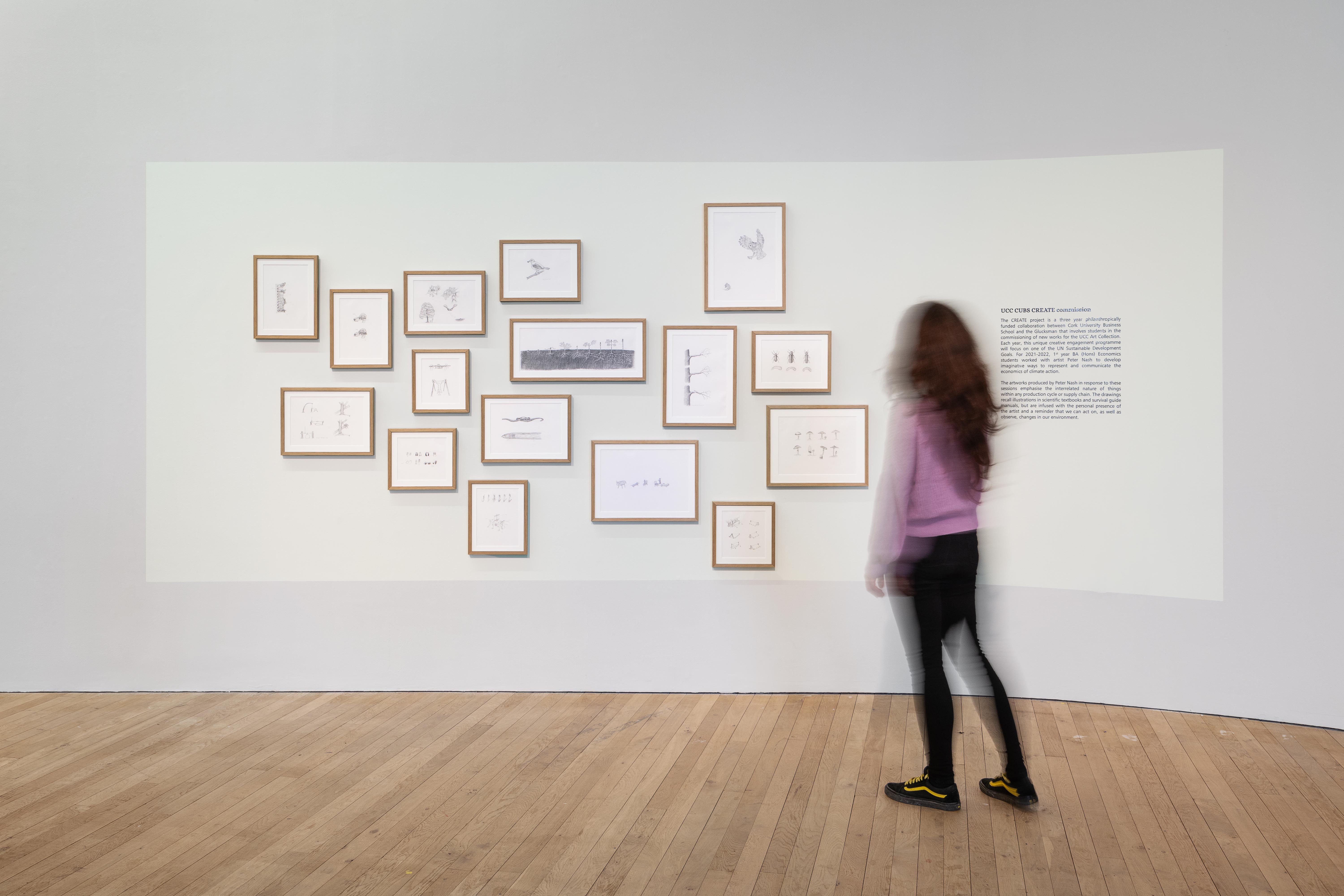 Exhibition view. Photo: Jed Niezgoda