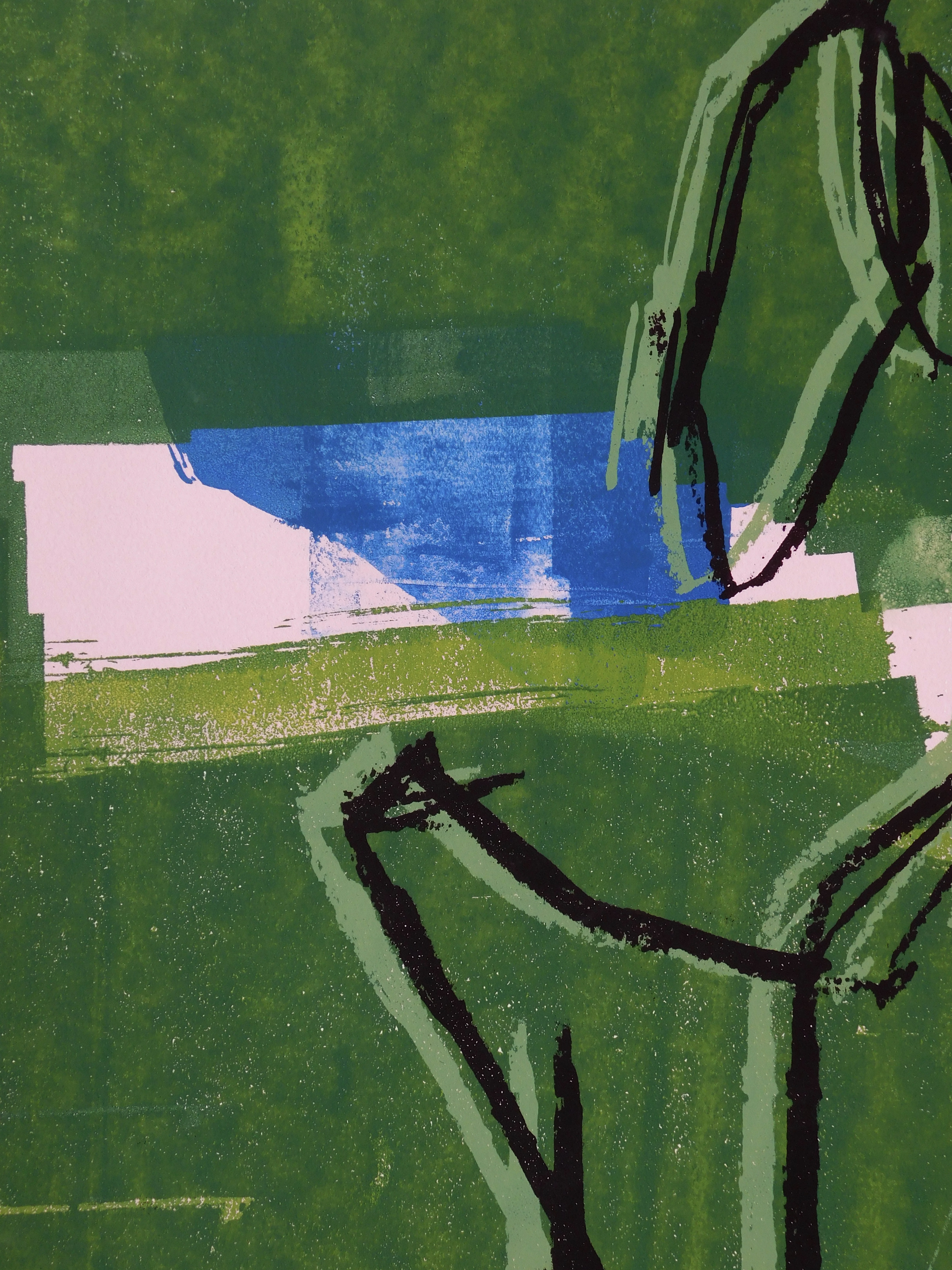 detail of untitled (one of narcissus' shadows (pink and green))