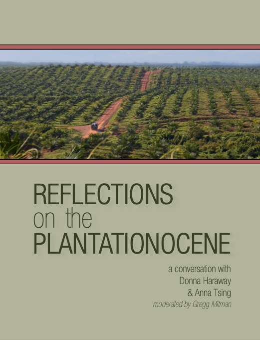 Donna Haraway, Anna Tsing, Reflections on the Plantationocene (EN)