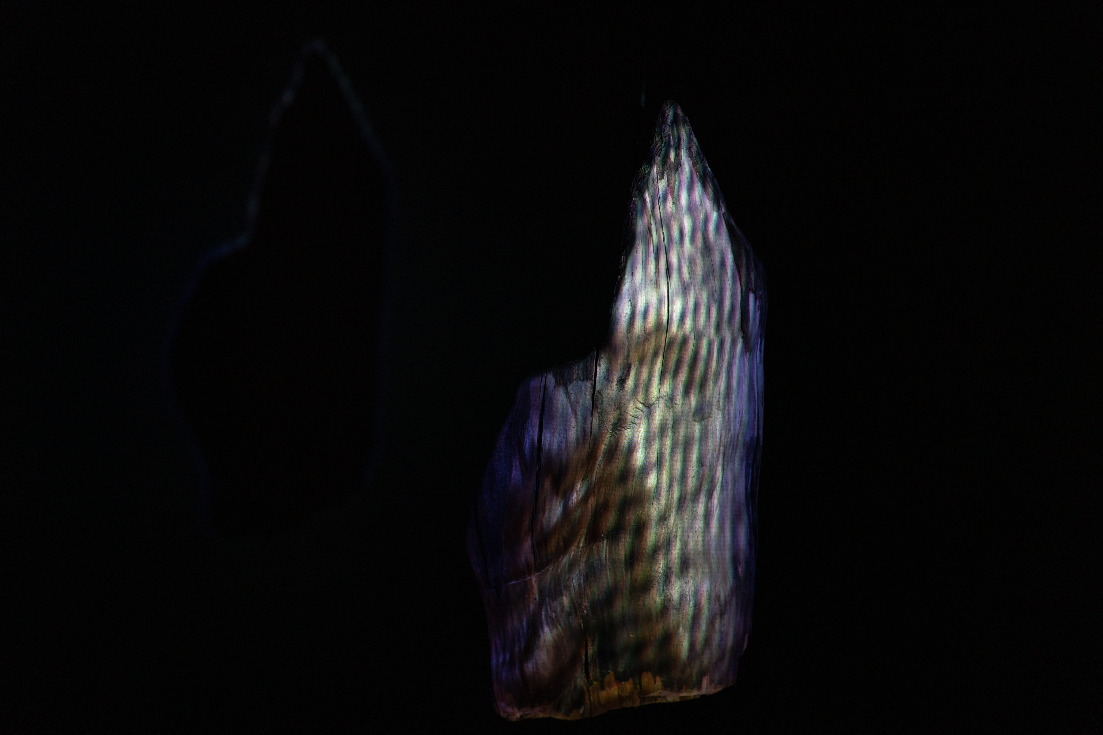 Image by Simone Fischer