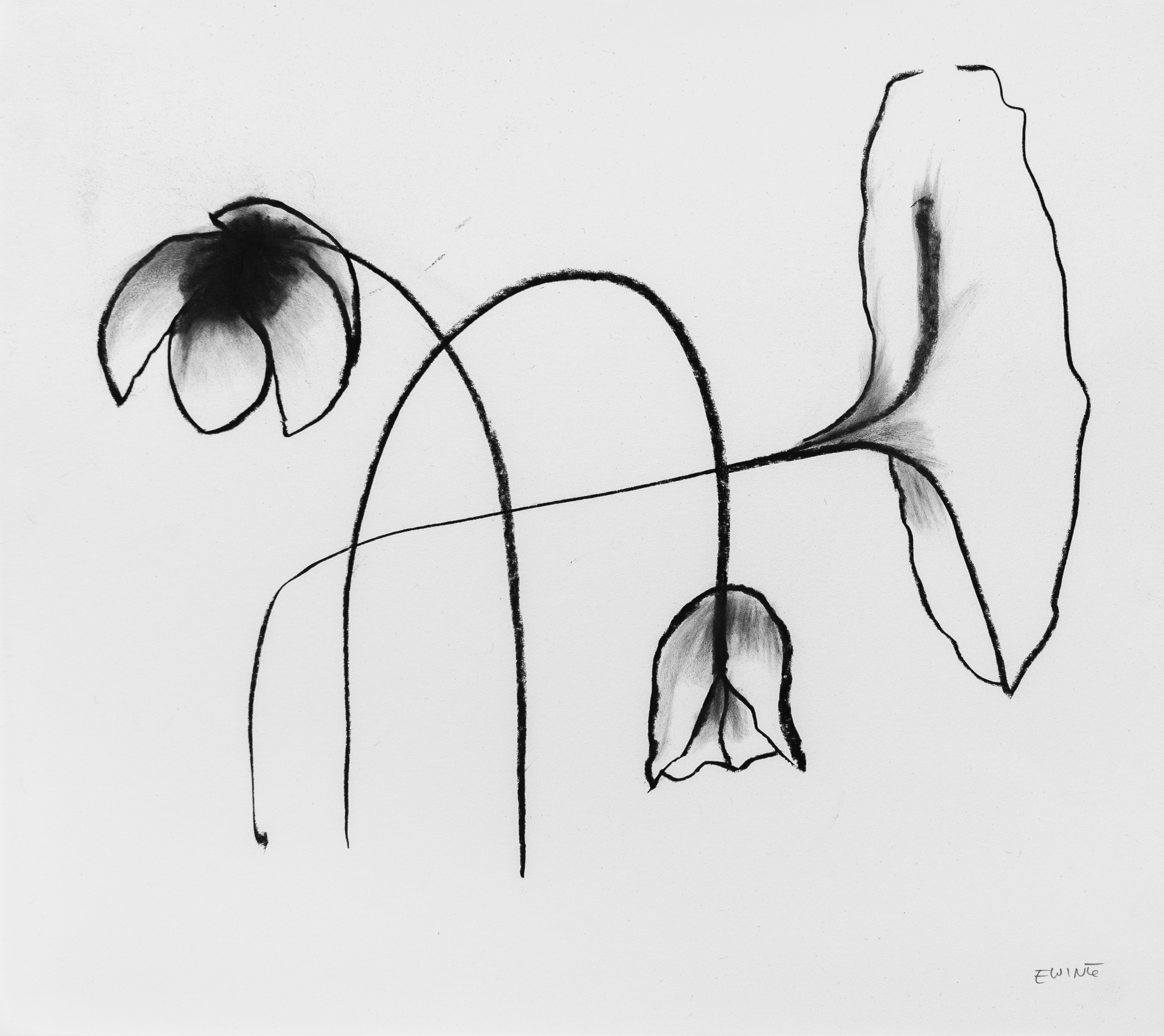 Floral Sketch 01 — $140