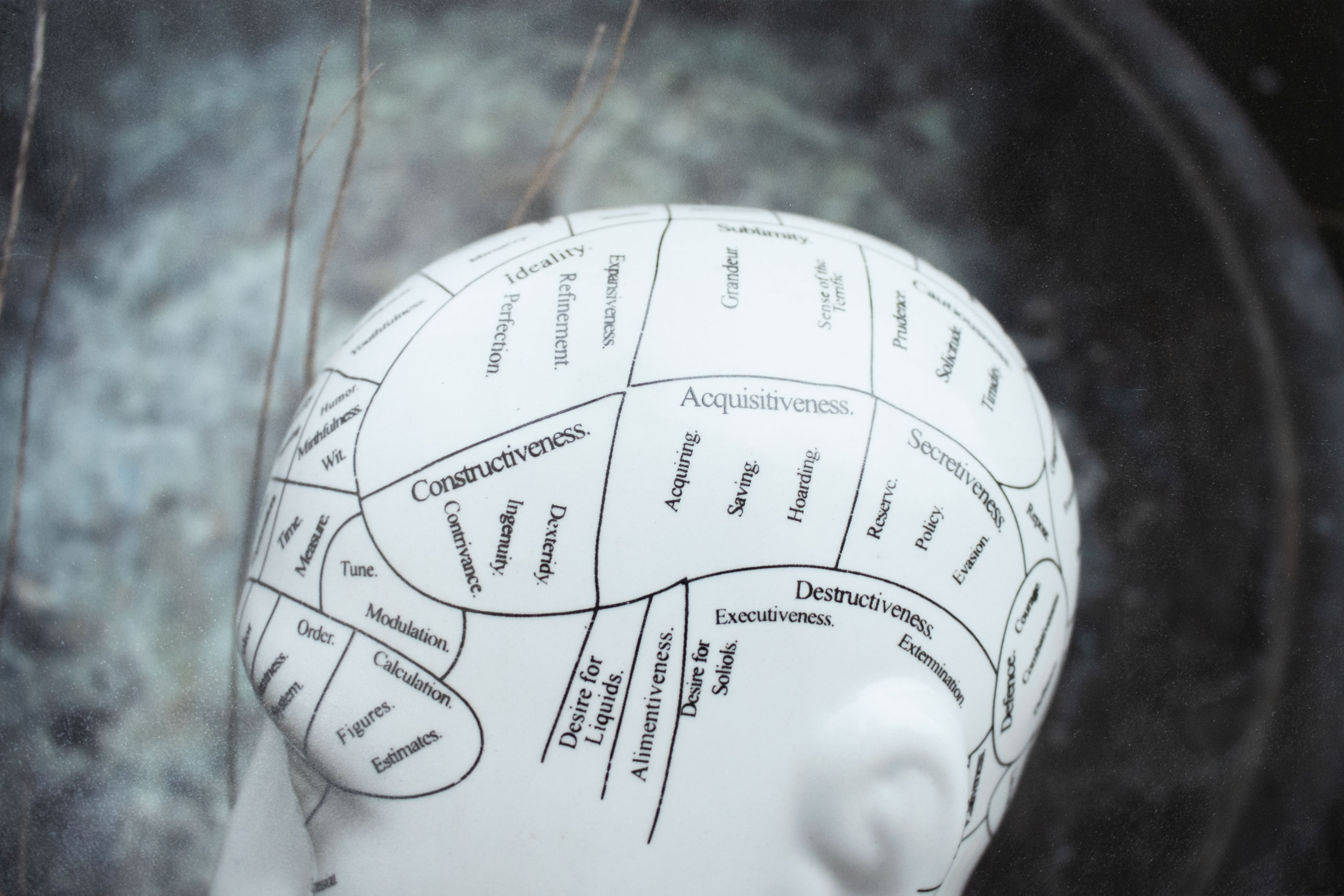 Propensity #12, 2014 Pigment on paper7.5x11.5 in.