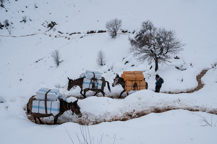 Tawela, Kurdistan, Irak, mars 2019. La travers&eacute;e de la montagne est p&eacute;rilleuse, d'abord on s'enfonce dans la boue de la pente raide puis la nuit tomb&eacute;e elle g&egrave;le et devient glissante. Il faut garder les b&ecirc;tes sur le chemin. En chemin, on risque de tomber sur les gardes fronti&egrave;res iraniens, ou de marcher sur une mine si on s'&eacute;carte du sentier.