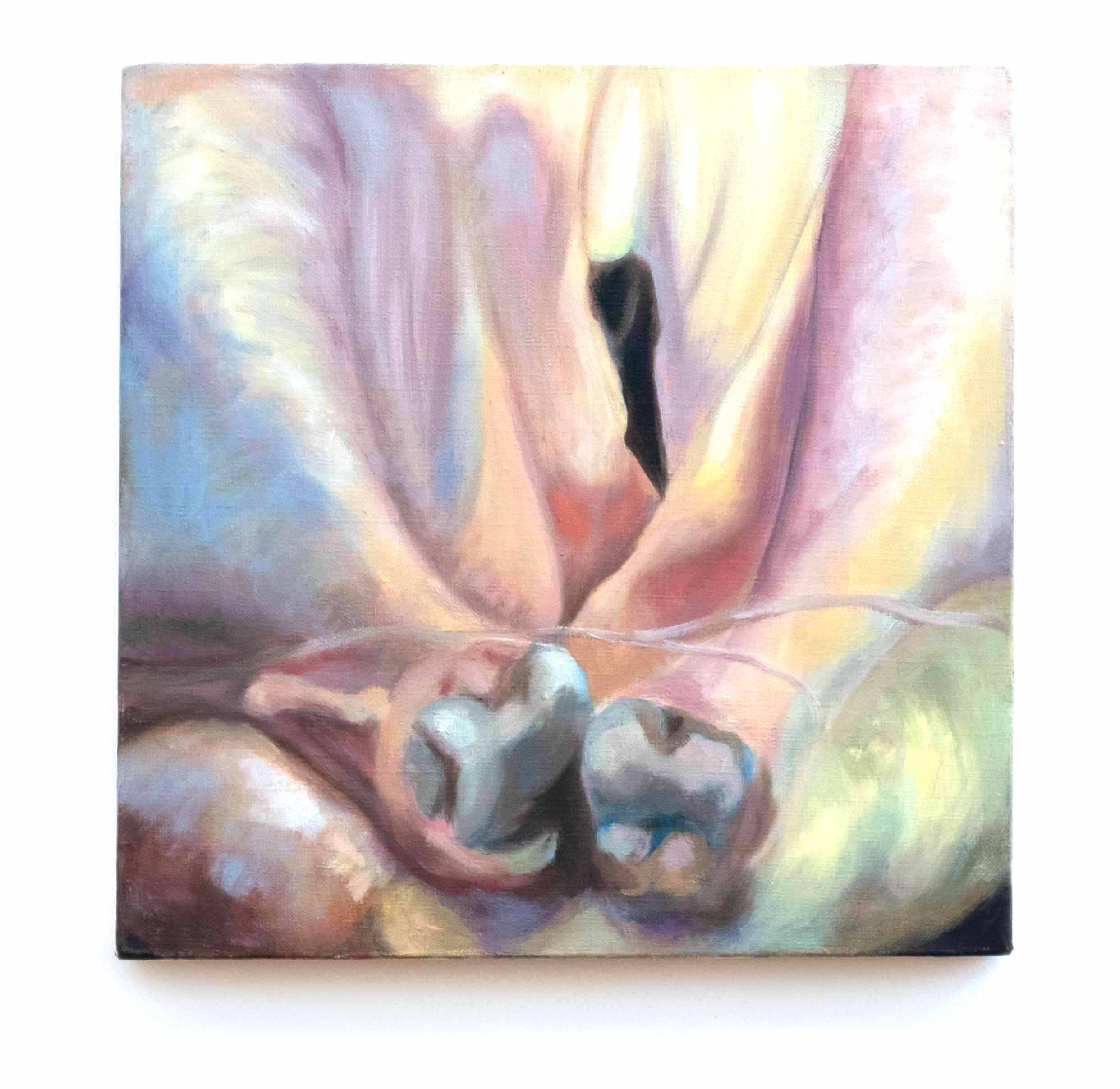 Untitled (from the Chicken Series), oil on linen, 12 x 12 inches, 2013